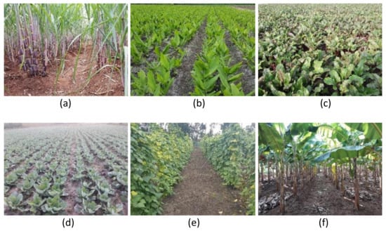 Remotesensing 13 01960 g0a3