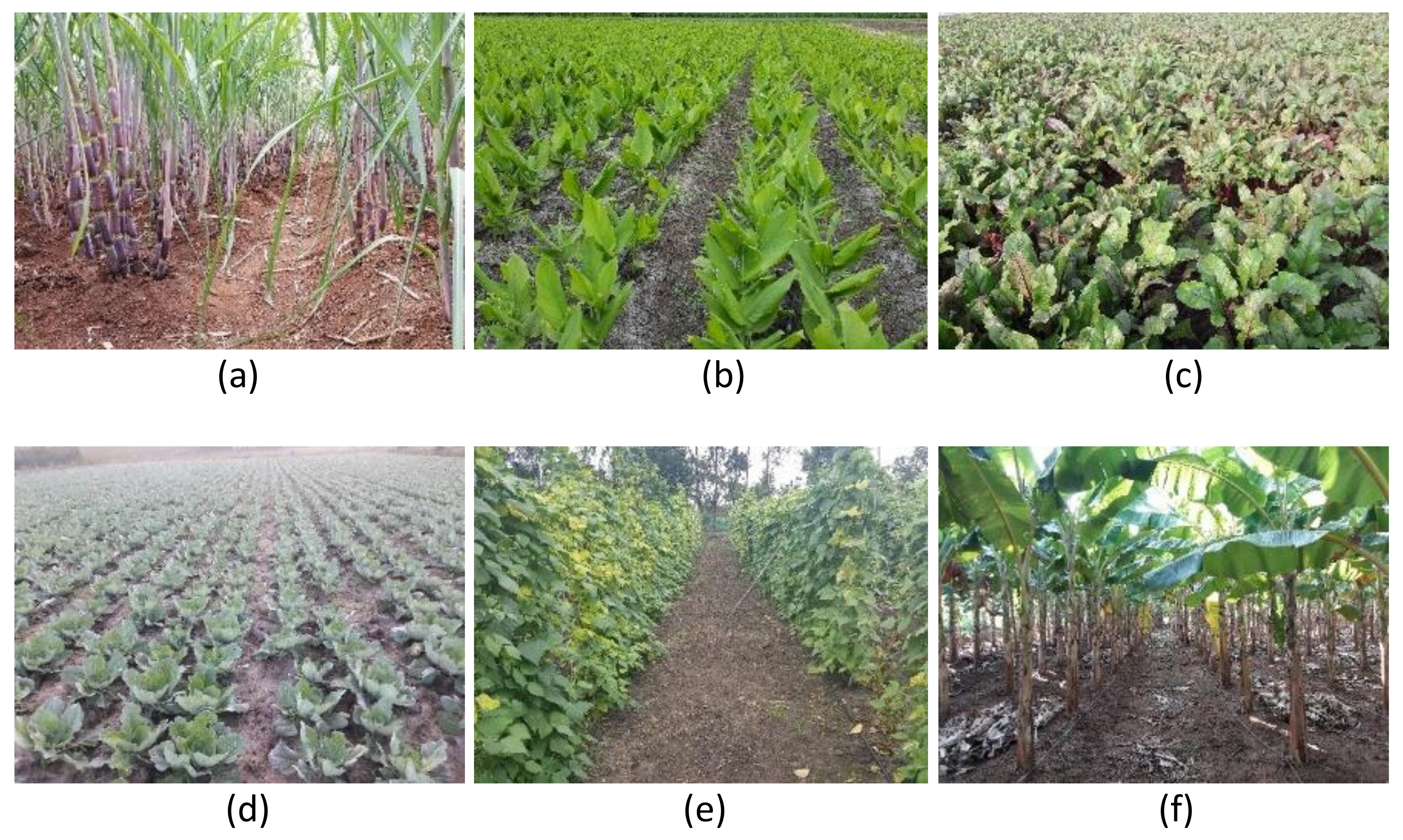 Remotesensing 13 01960 g0a3