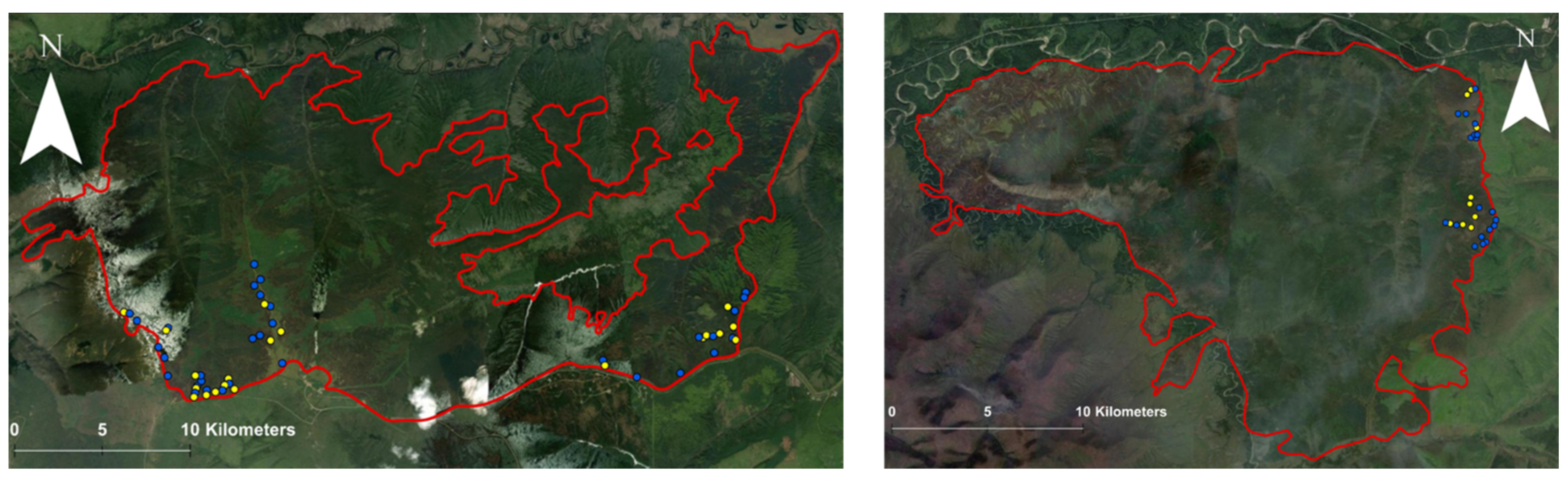Remotesensing 13 01966 g002