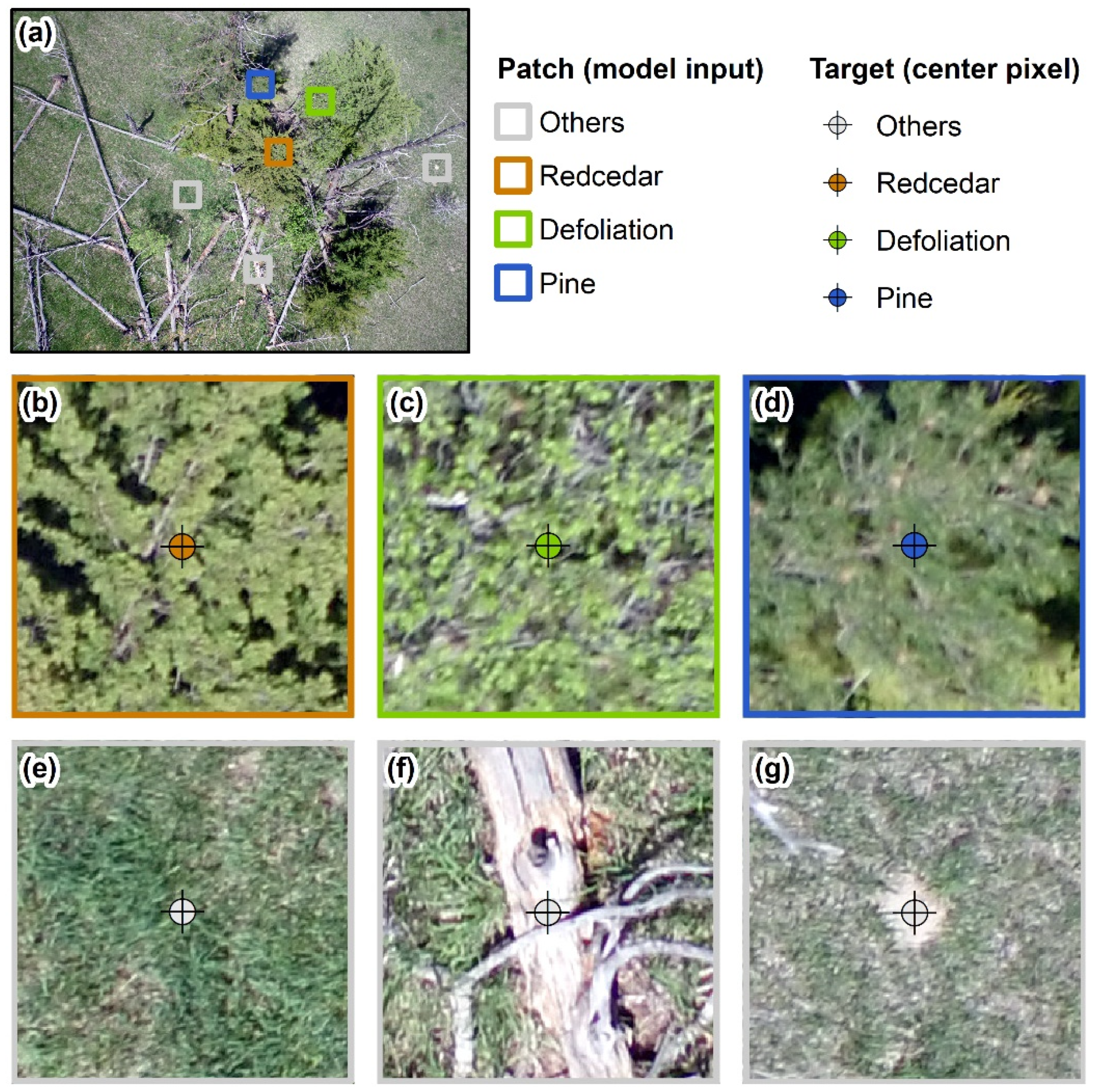 Remotesensing 13 01975 g002