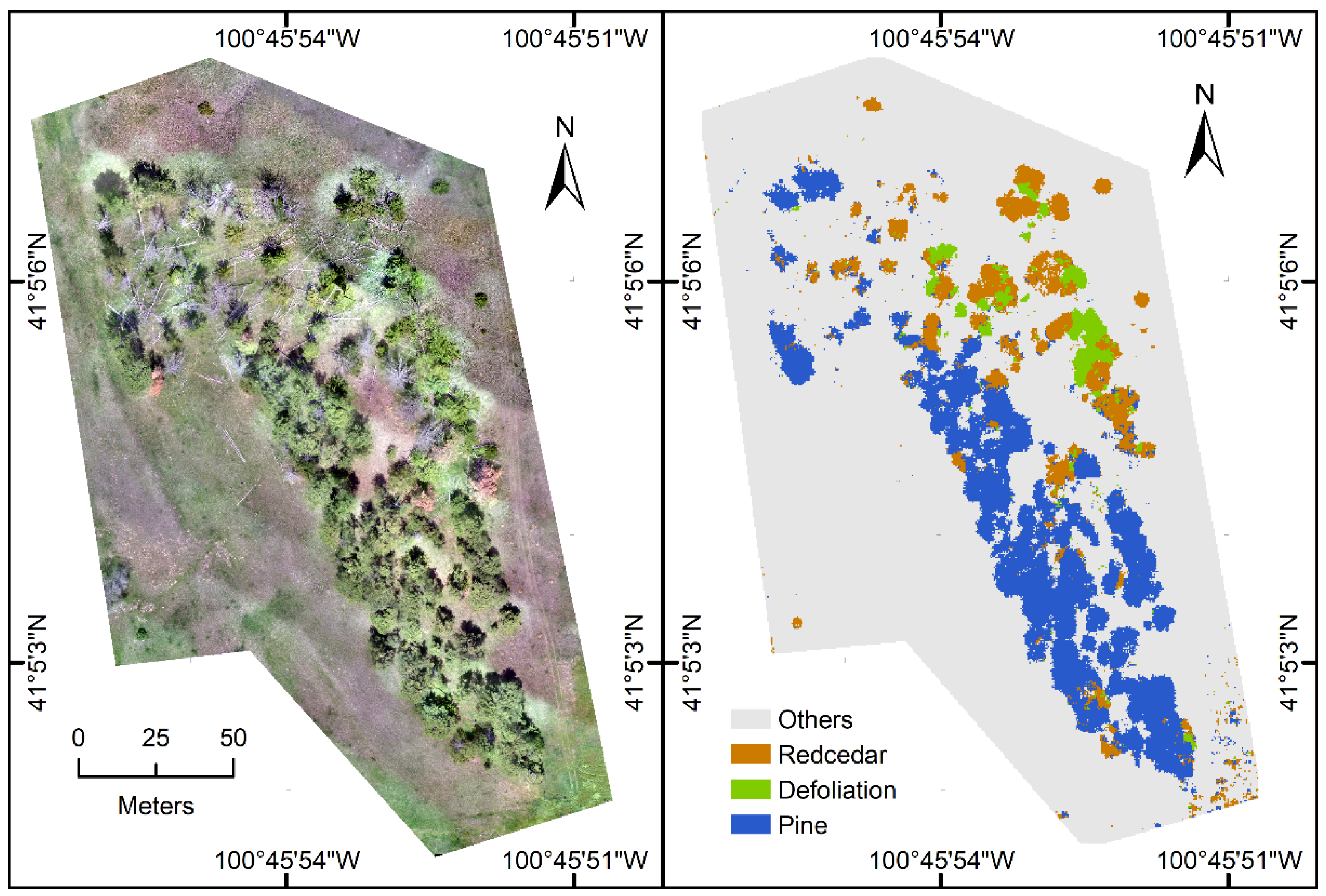 Remotesensing 13 01975 g005