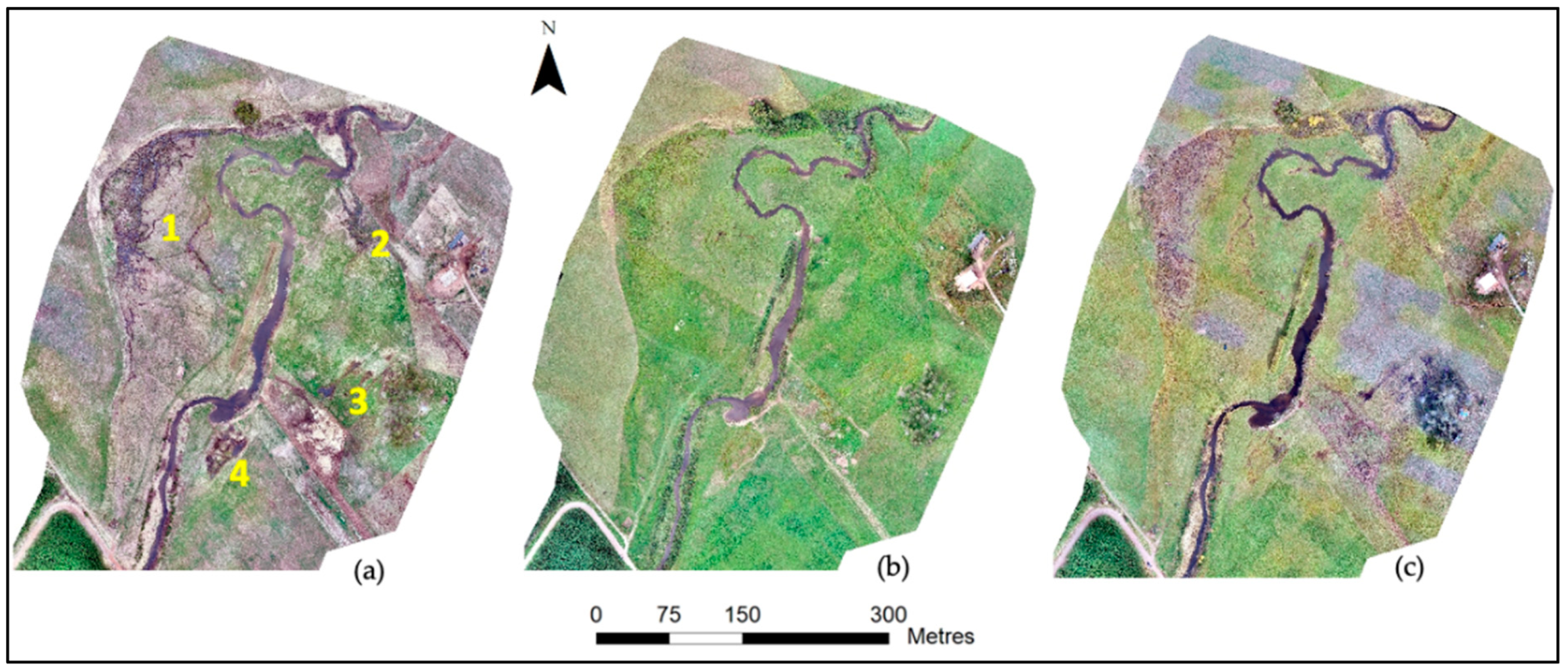 Remotesensing 13 01997 g007