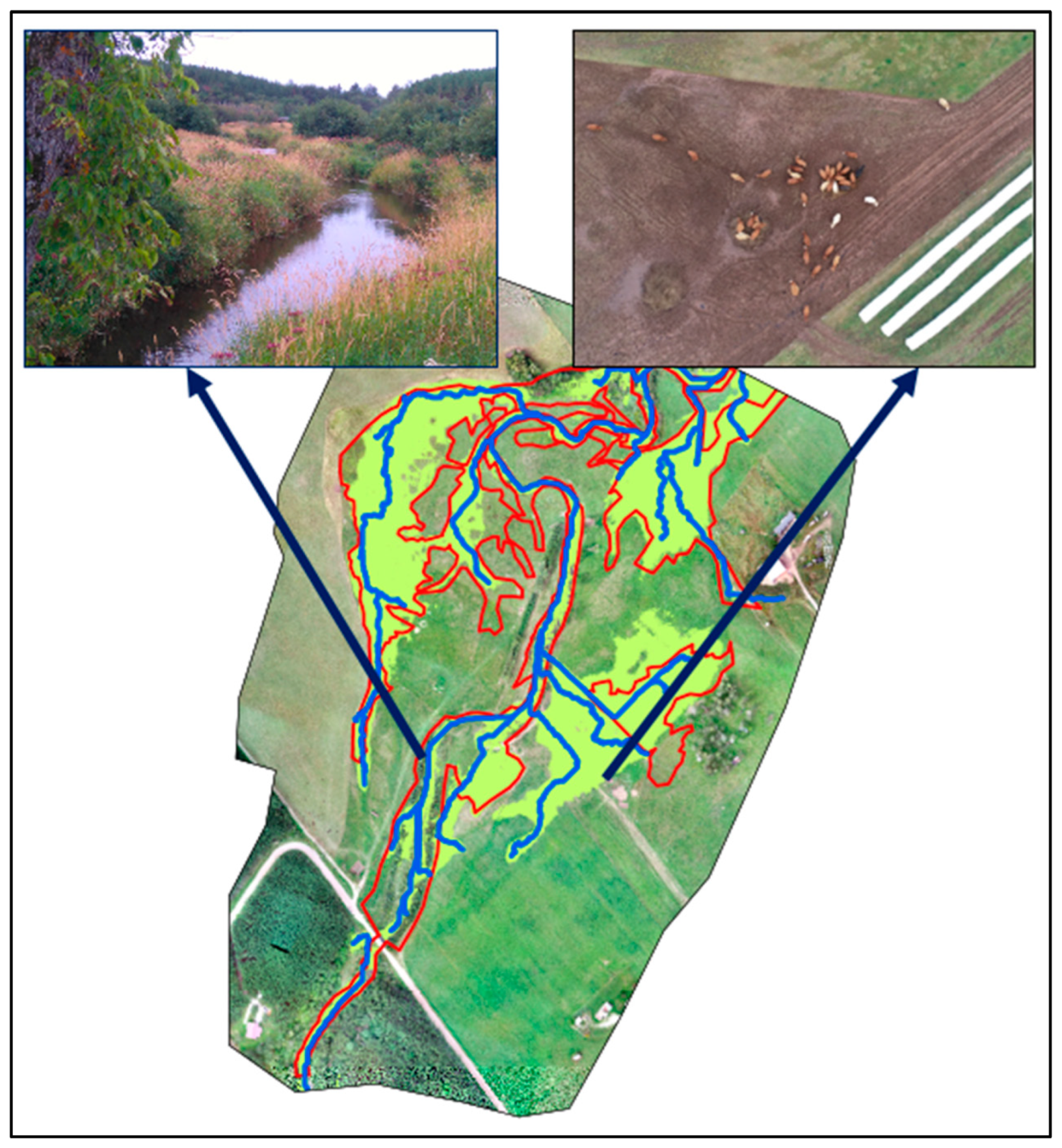 Remotesensing 13 01997 g011