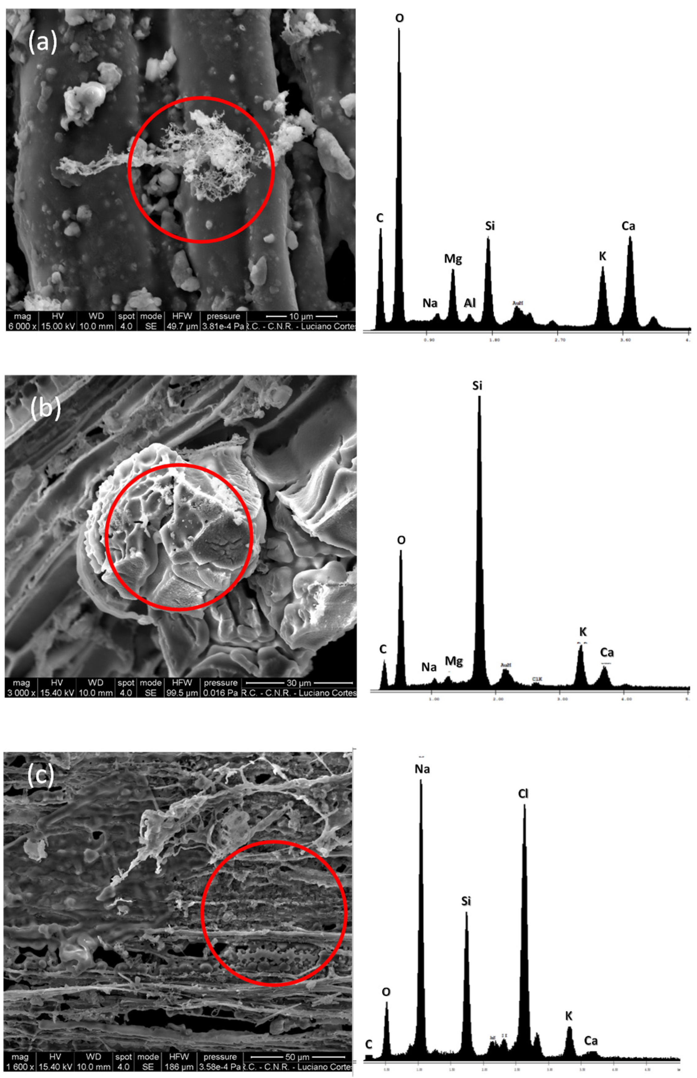 Remotesensing 13 02001 g019