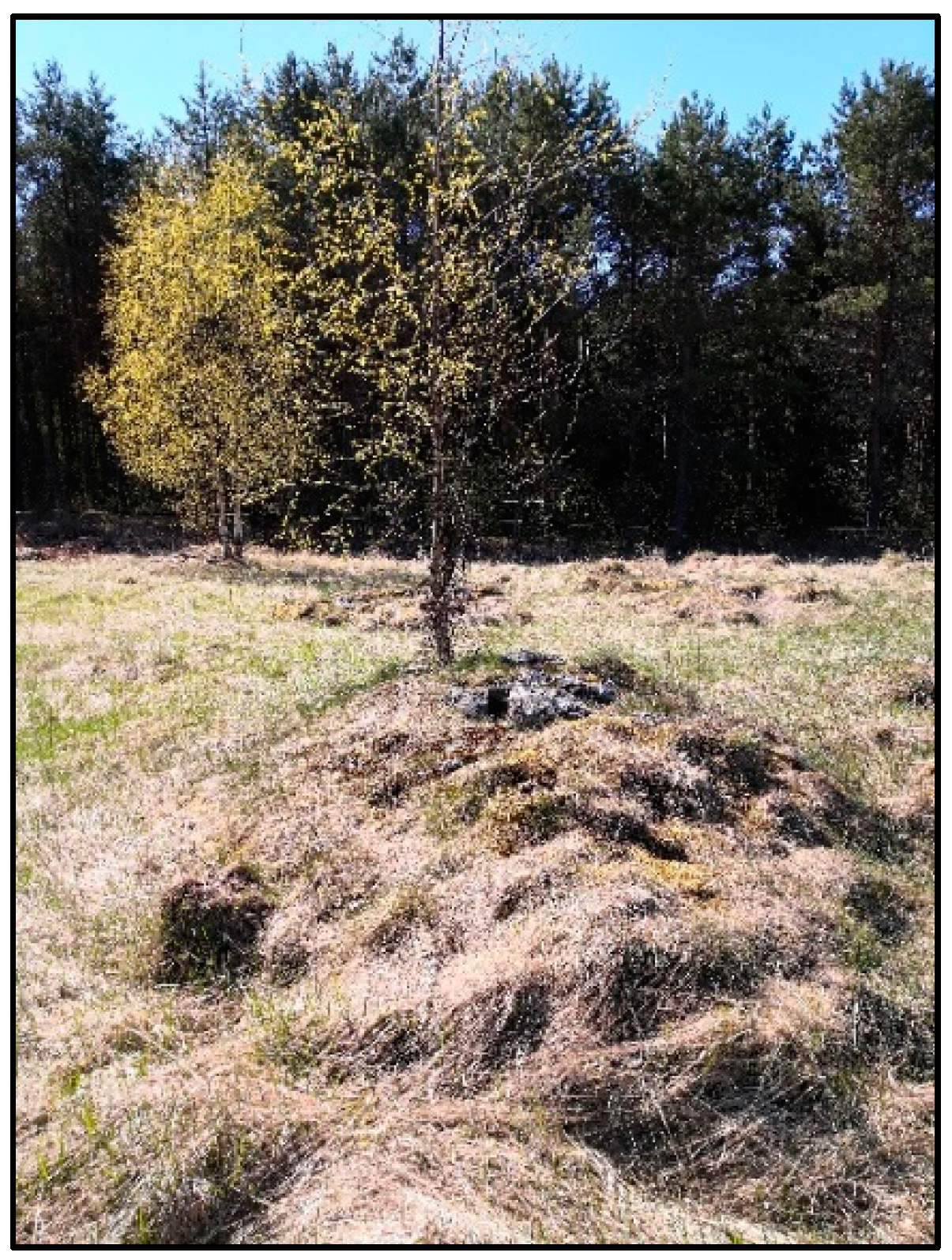 Remotesensing 13 02010 g003 Remotesensing 13 02010 g003