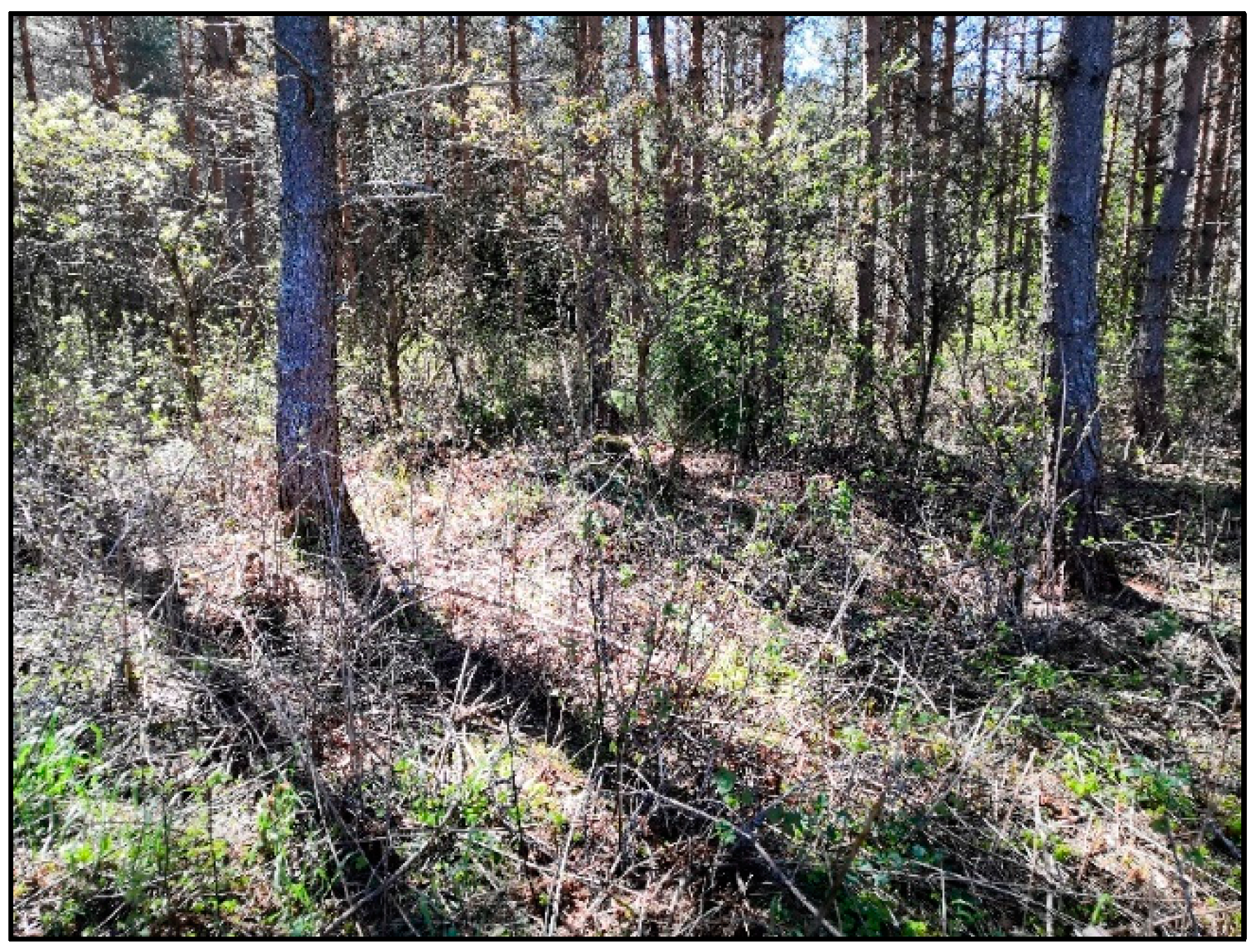 Remotesensing 13 02010 g009 Remotesensing 13 02010 g009