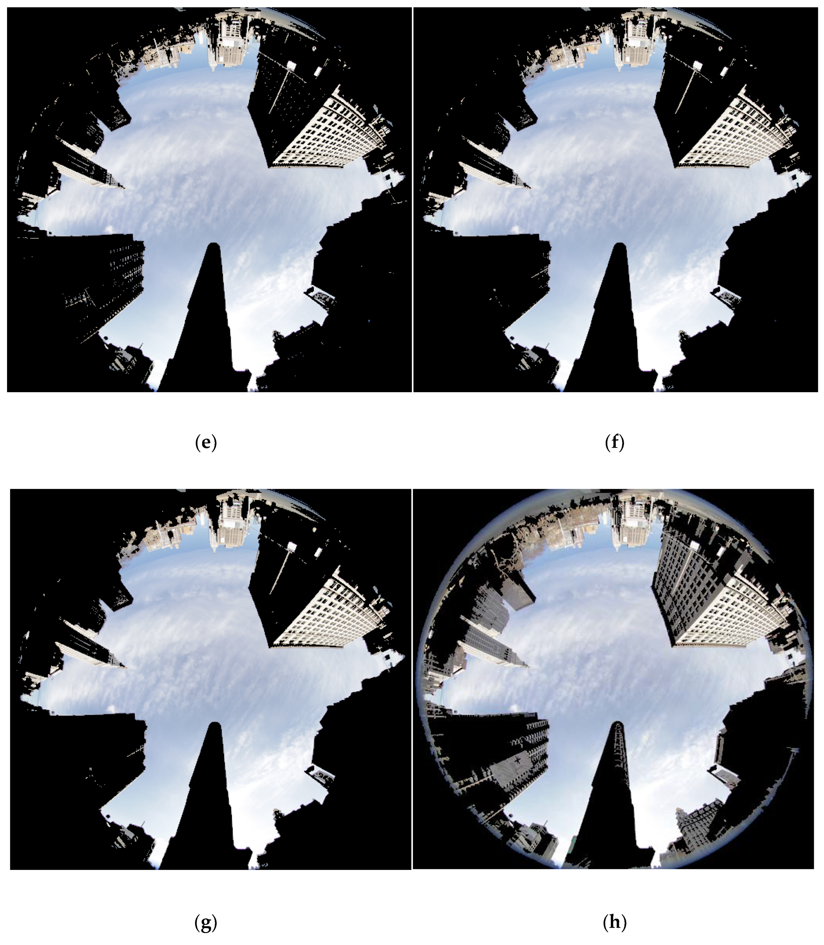 Remotesensing 13 02021 g002b Remotesensing 13 02021 g002b