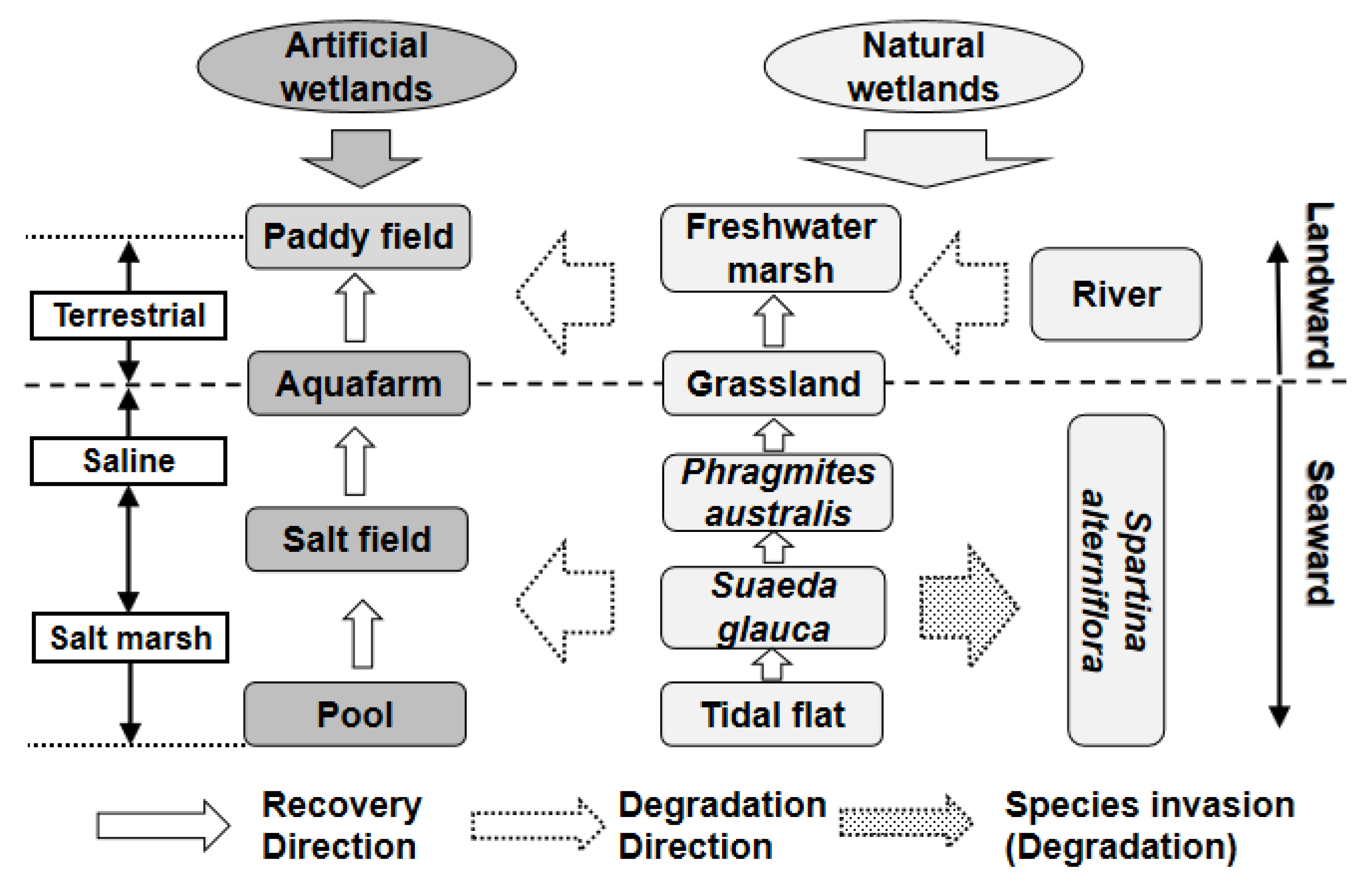 Remotesensing 13 02030 g003