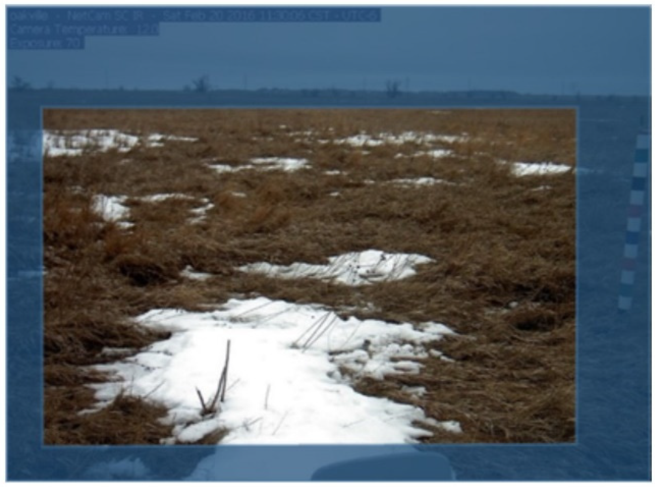 Remotesensing 13 02045 g005