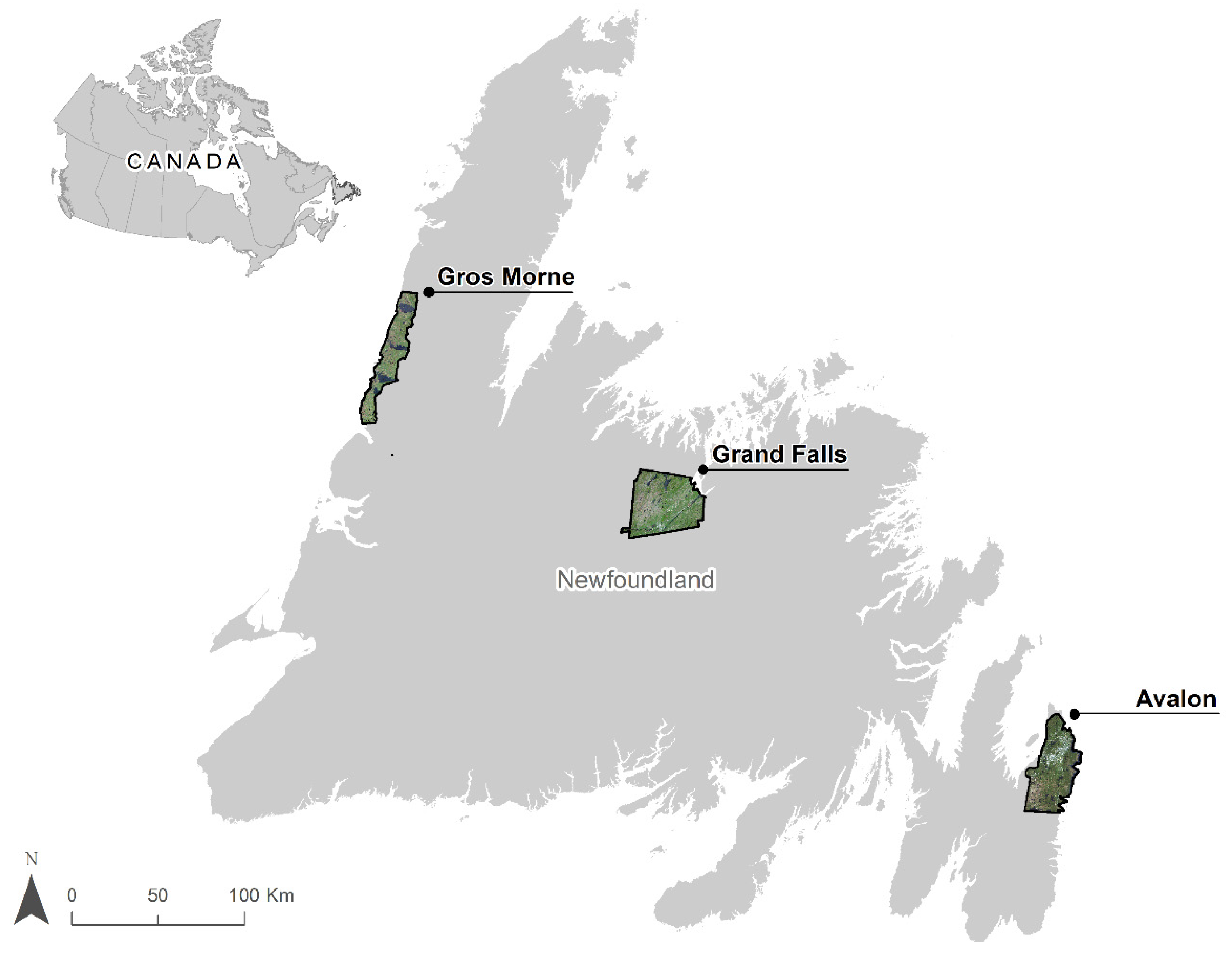 Remotesensing 13 02046 g001