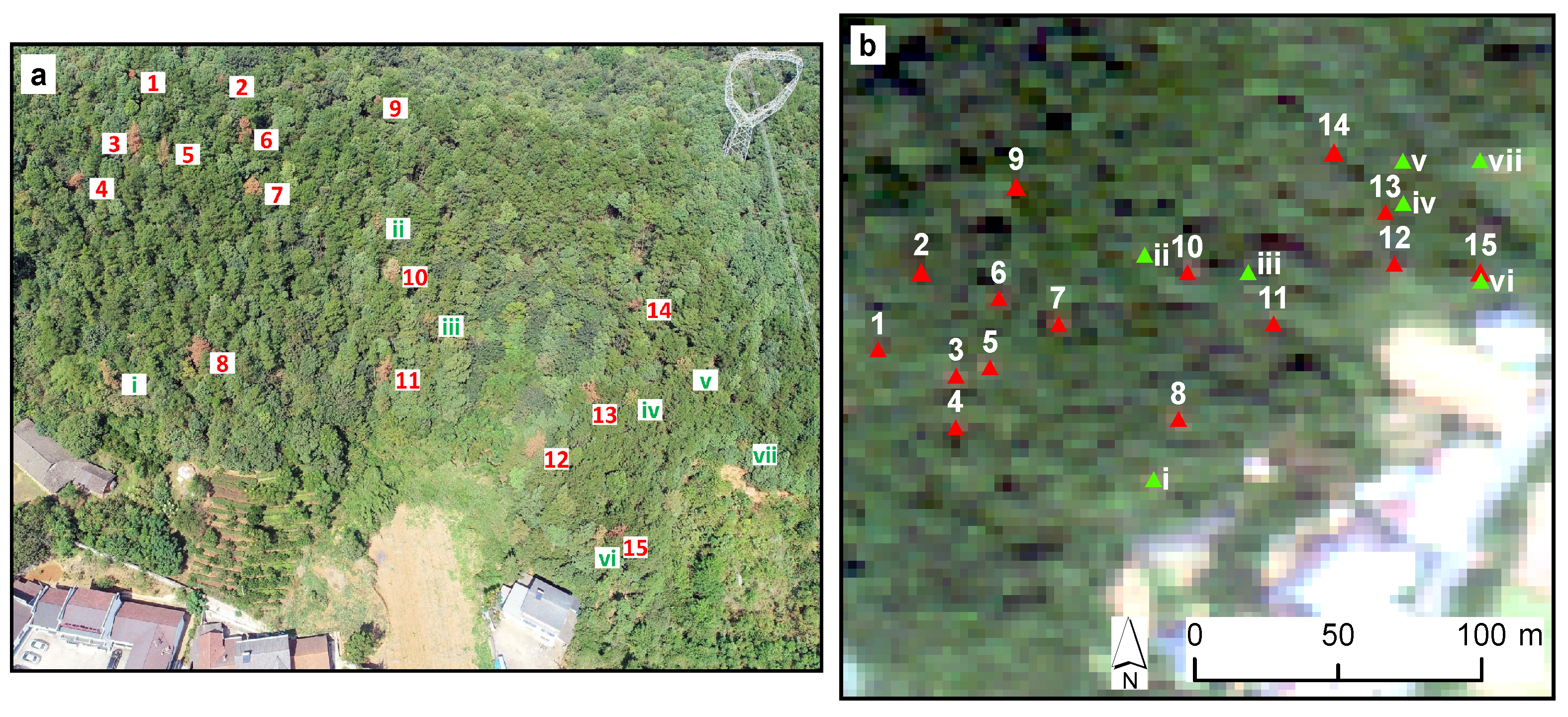 Remotesensing 13 02083 g002