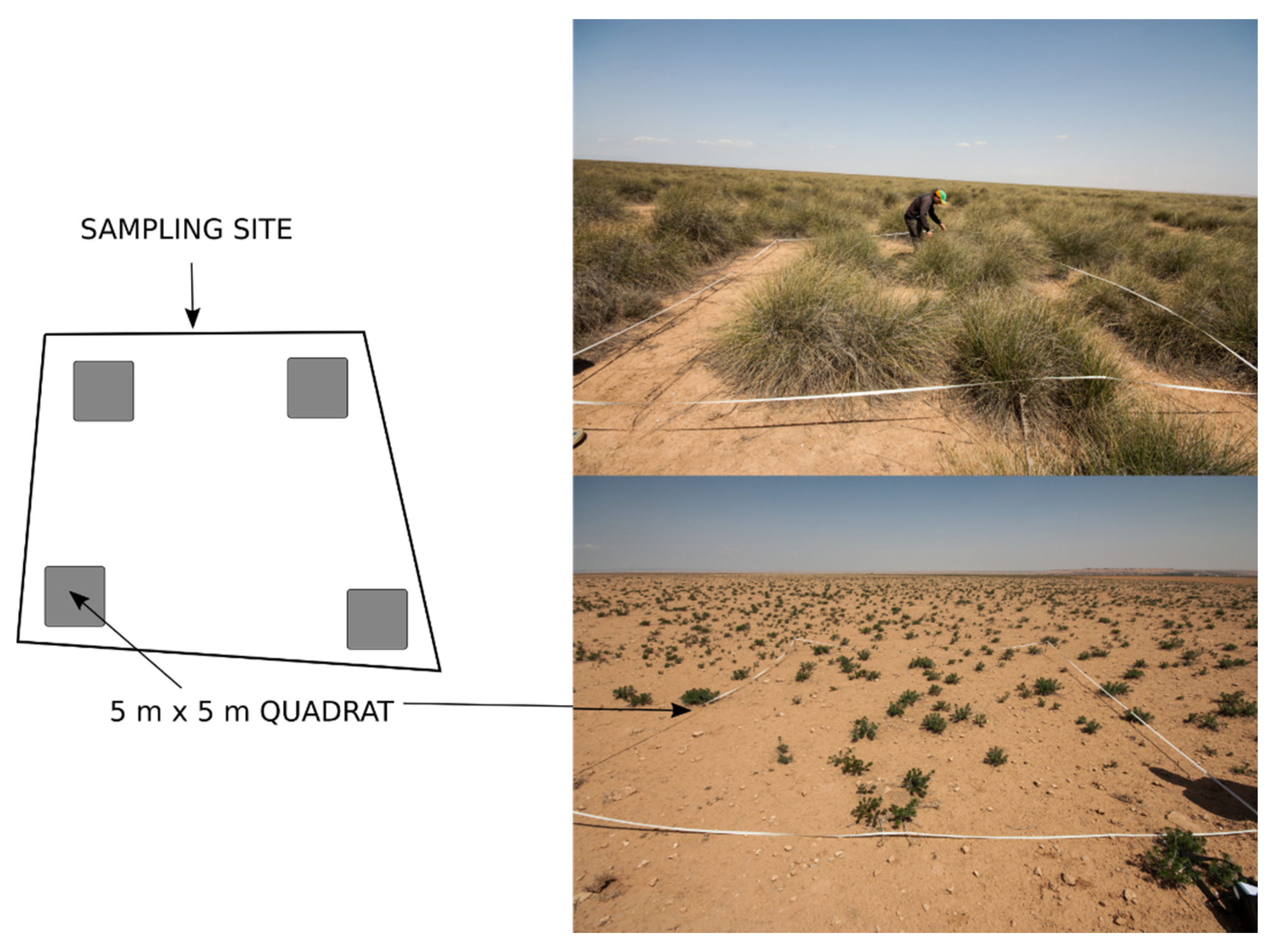 Remotesensing 13 02093 g002