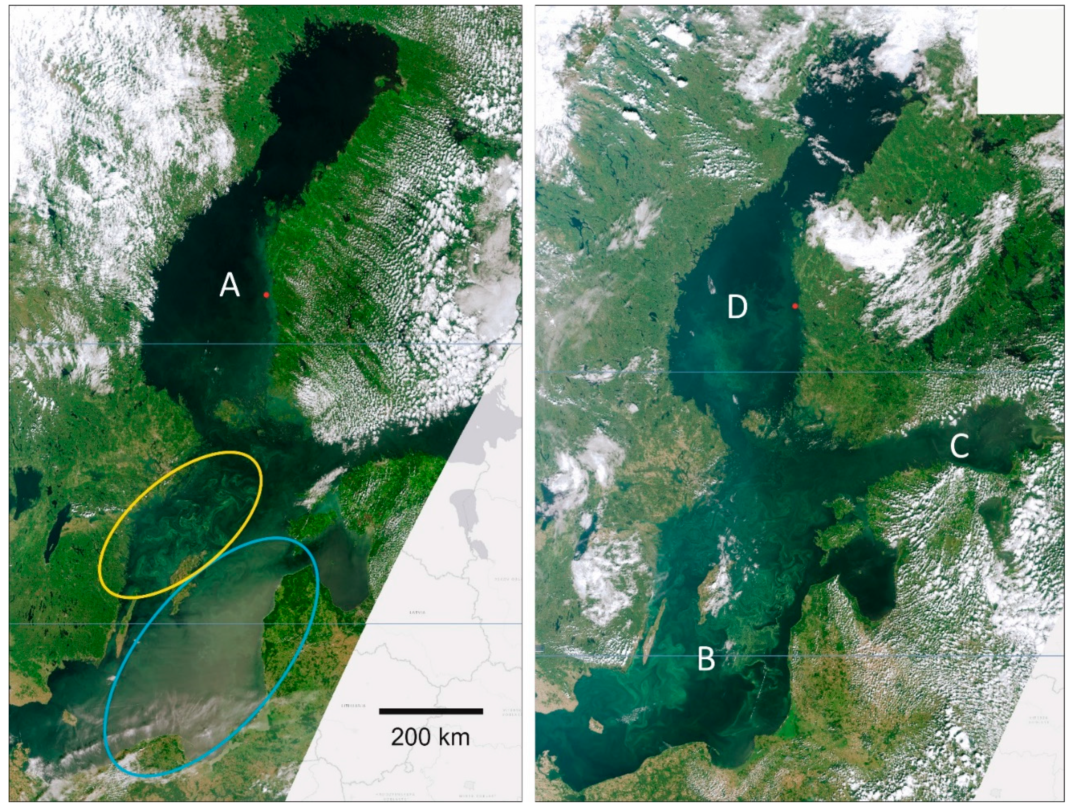 Remotesensing 13 02104 g005