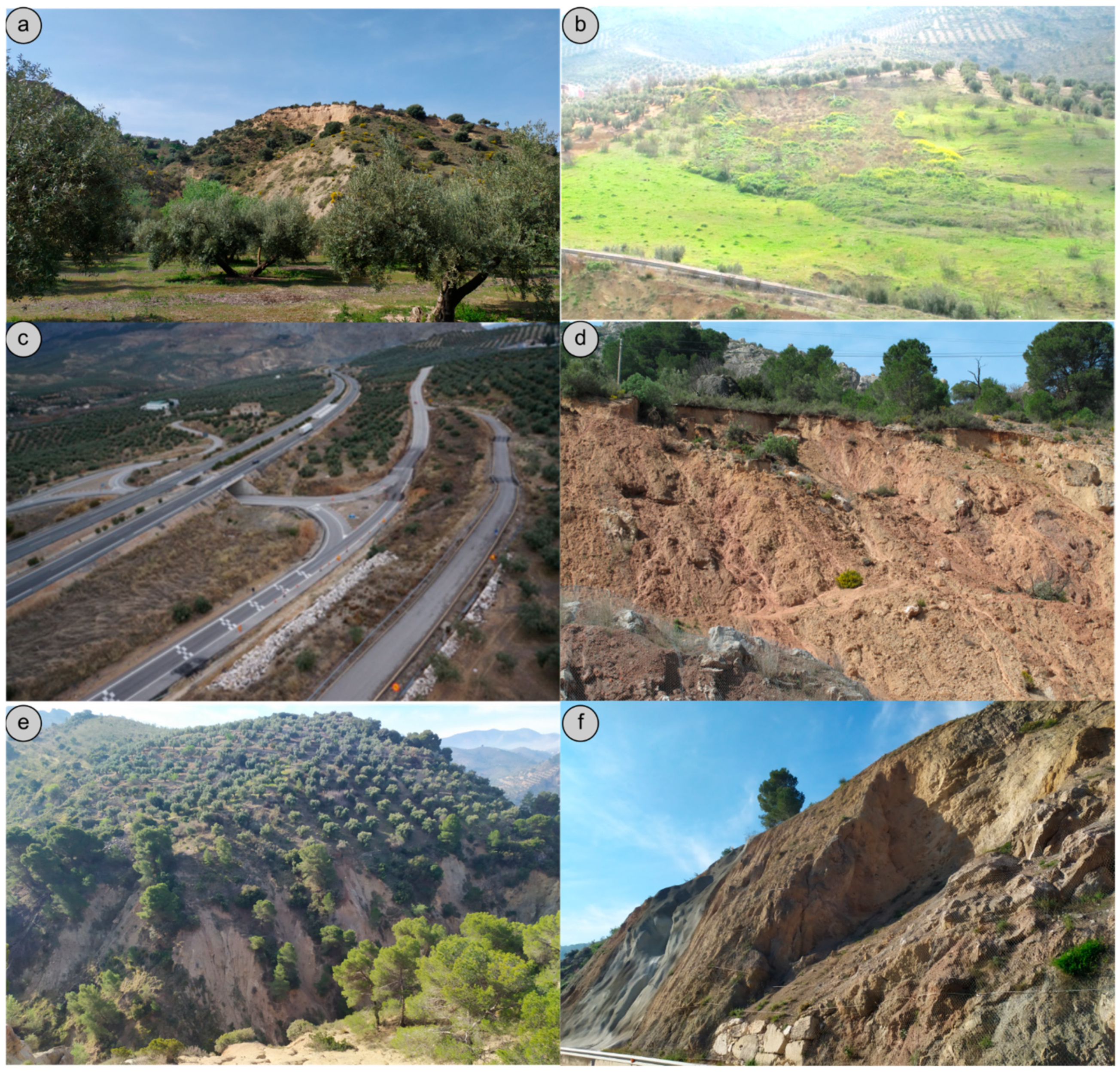 Remotesensing 13 02110 g002