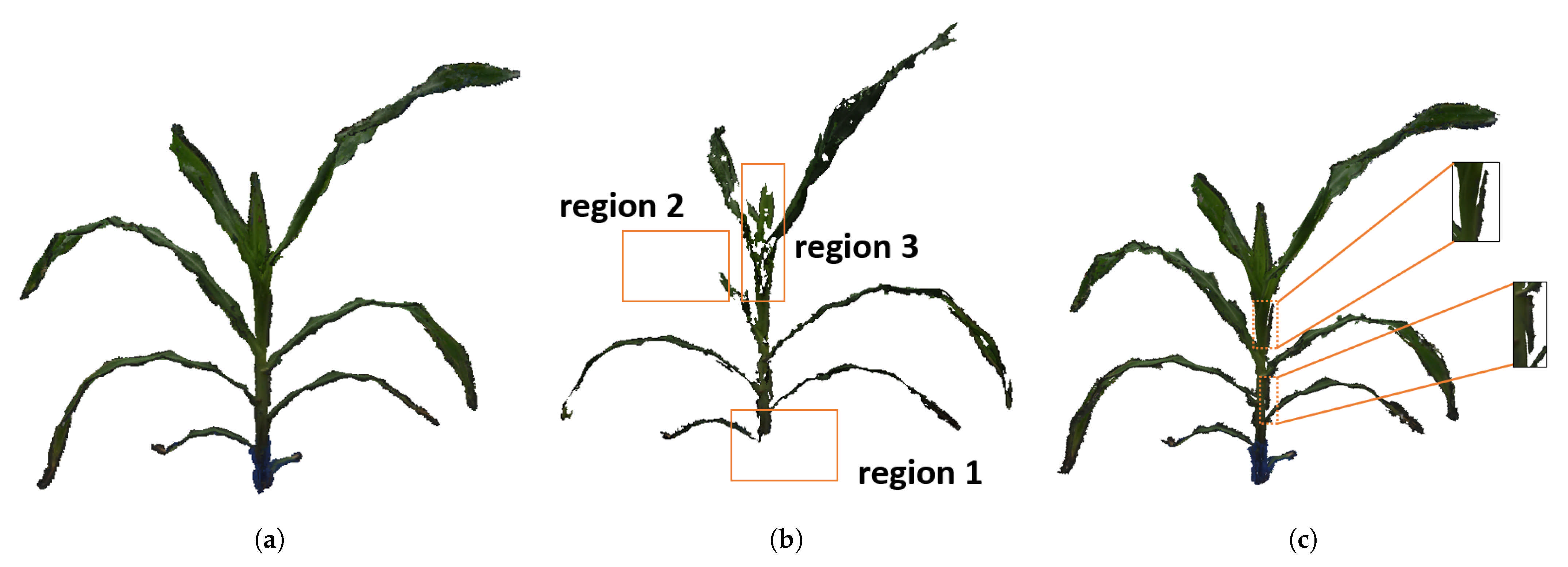 Remotesensing 13 02113 g008