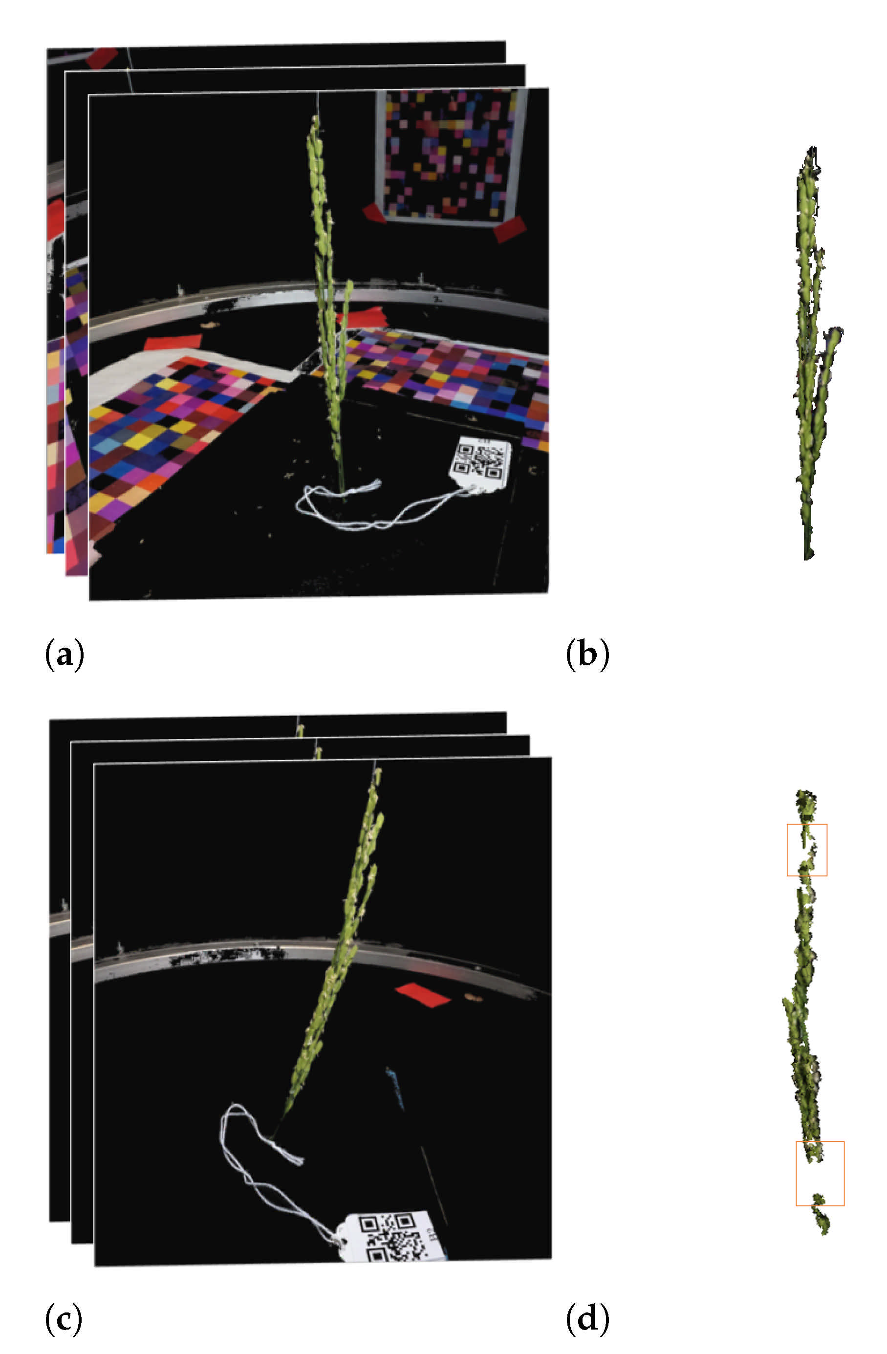 Remotesensing 13 02113 g011