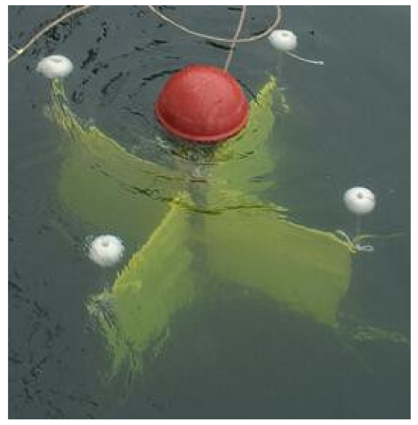 Remotesensing 13 02115 g002