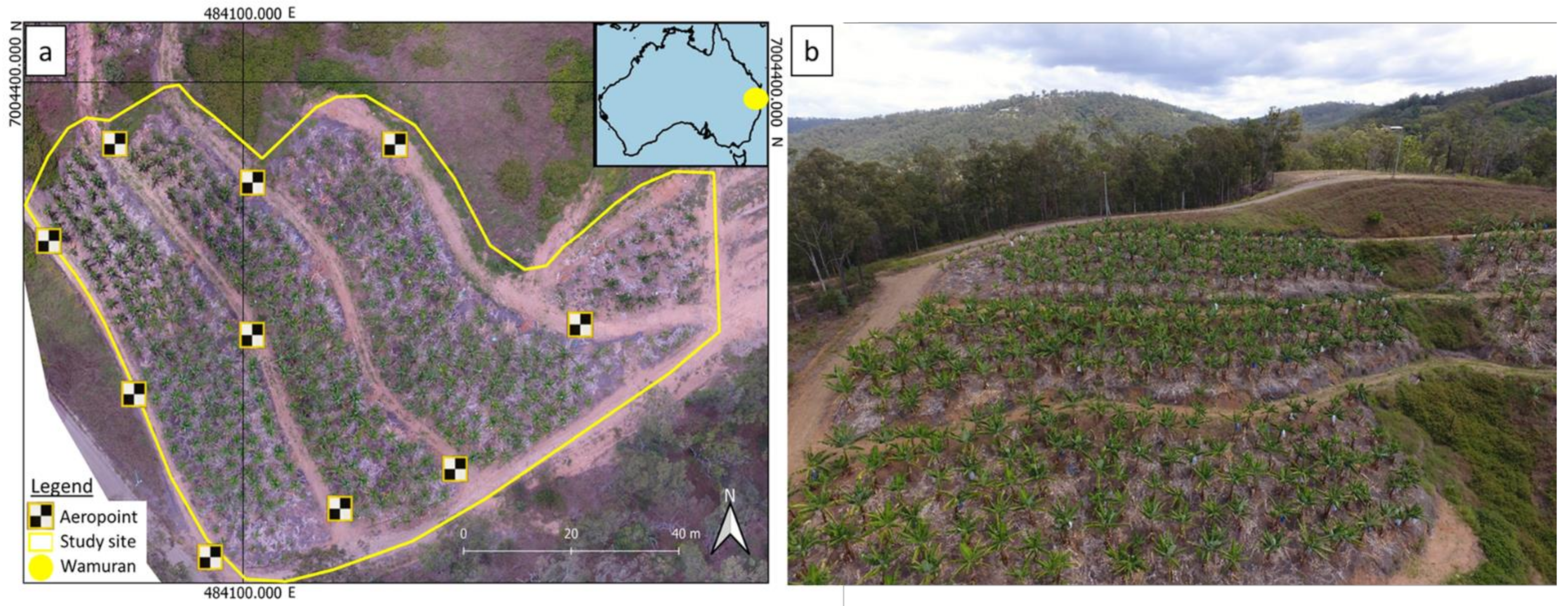 Remotesensing 13 02123 g001