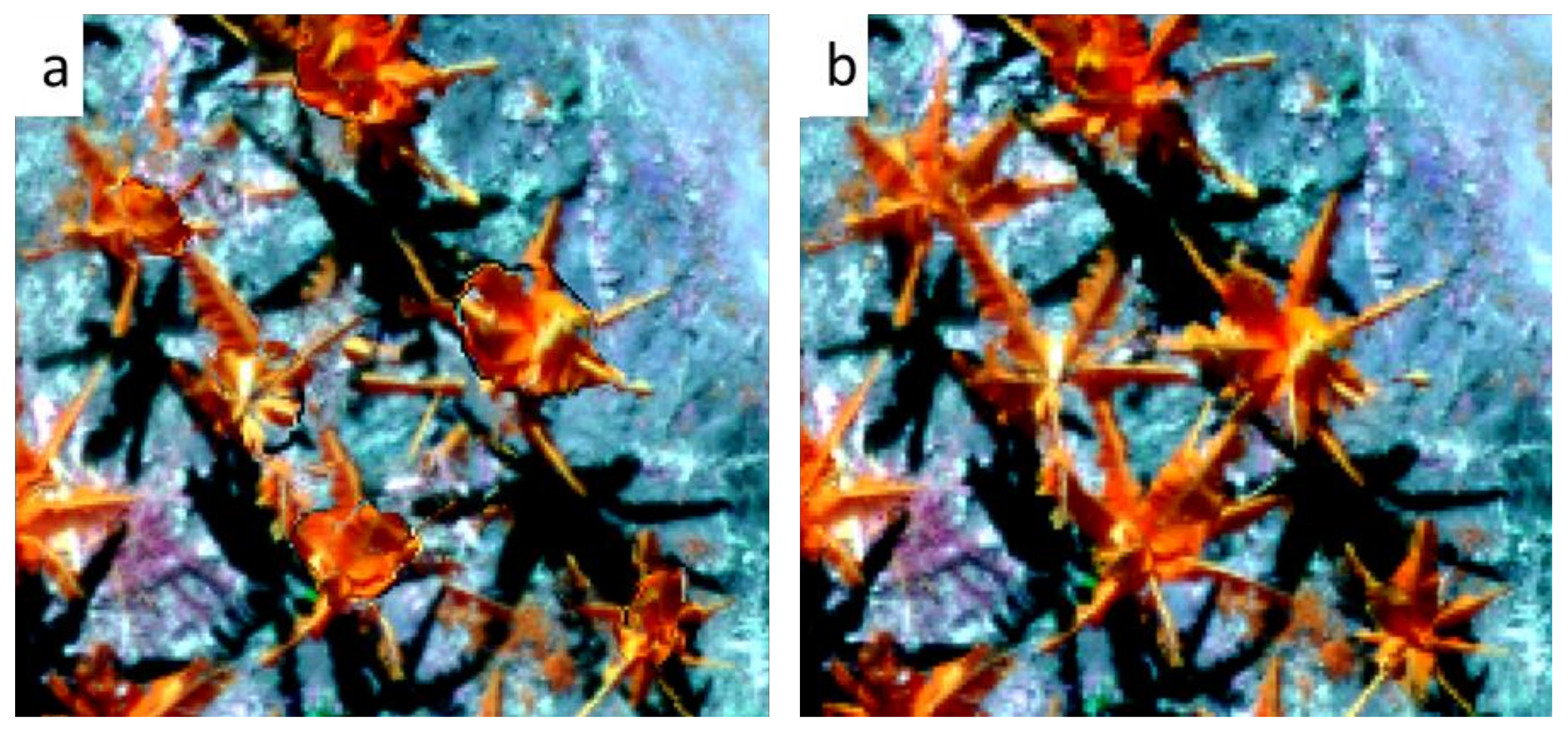 Remotesensing 13 02123 g002