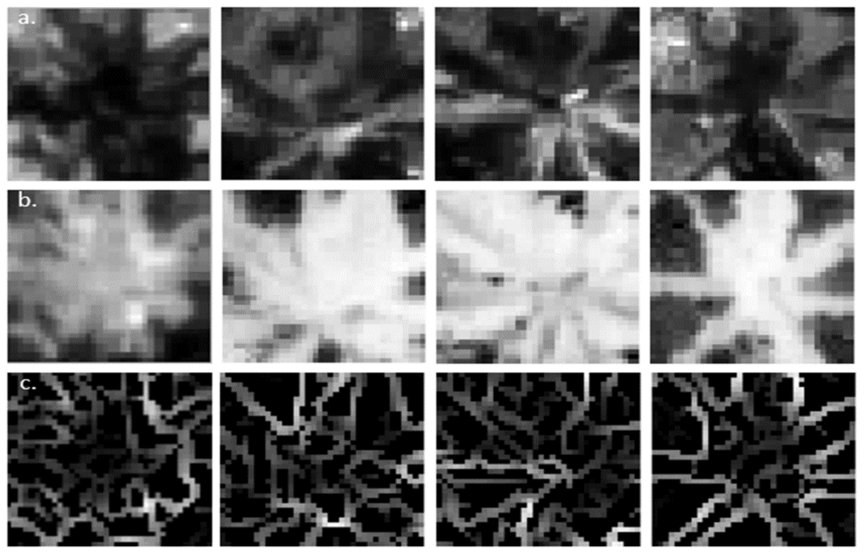 Remotesensing 13 02123 g004