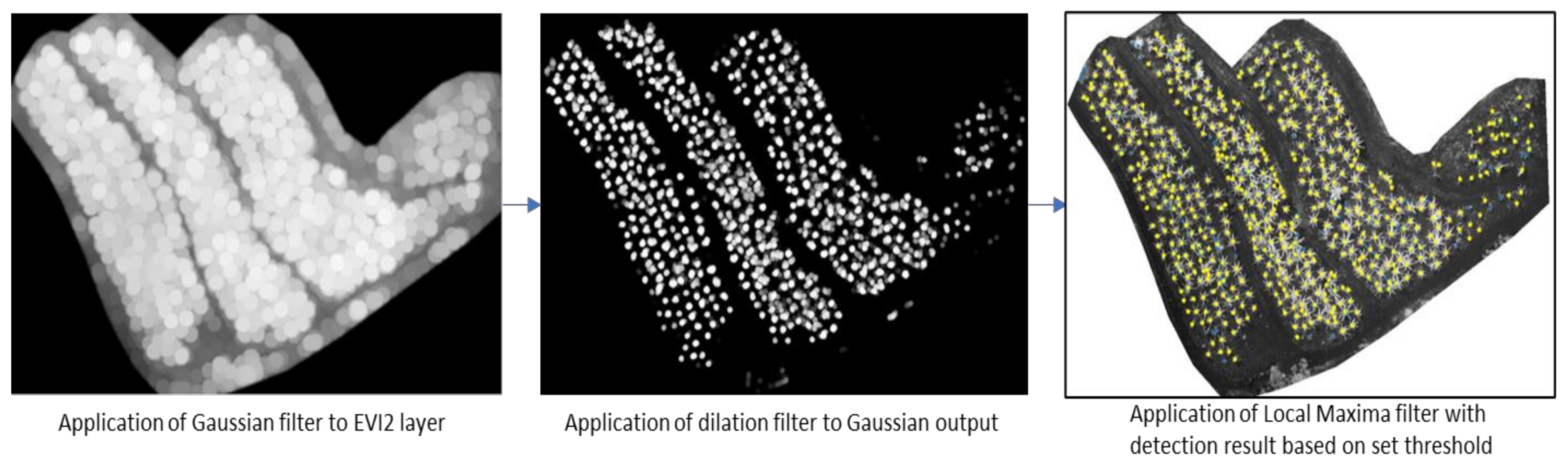 Remotesensing 13 02123 g007