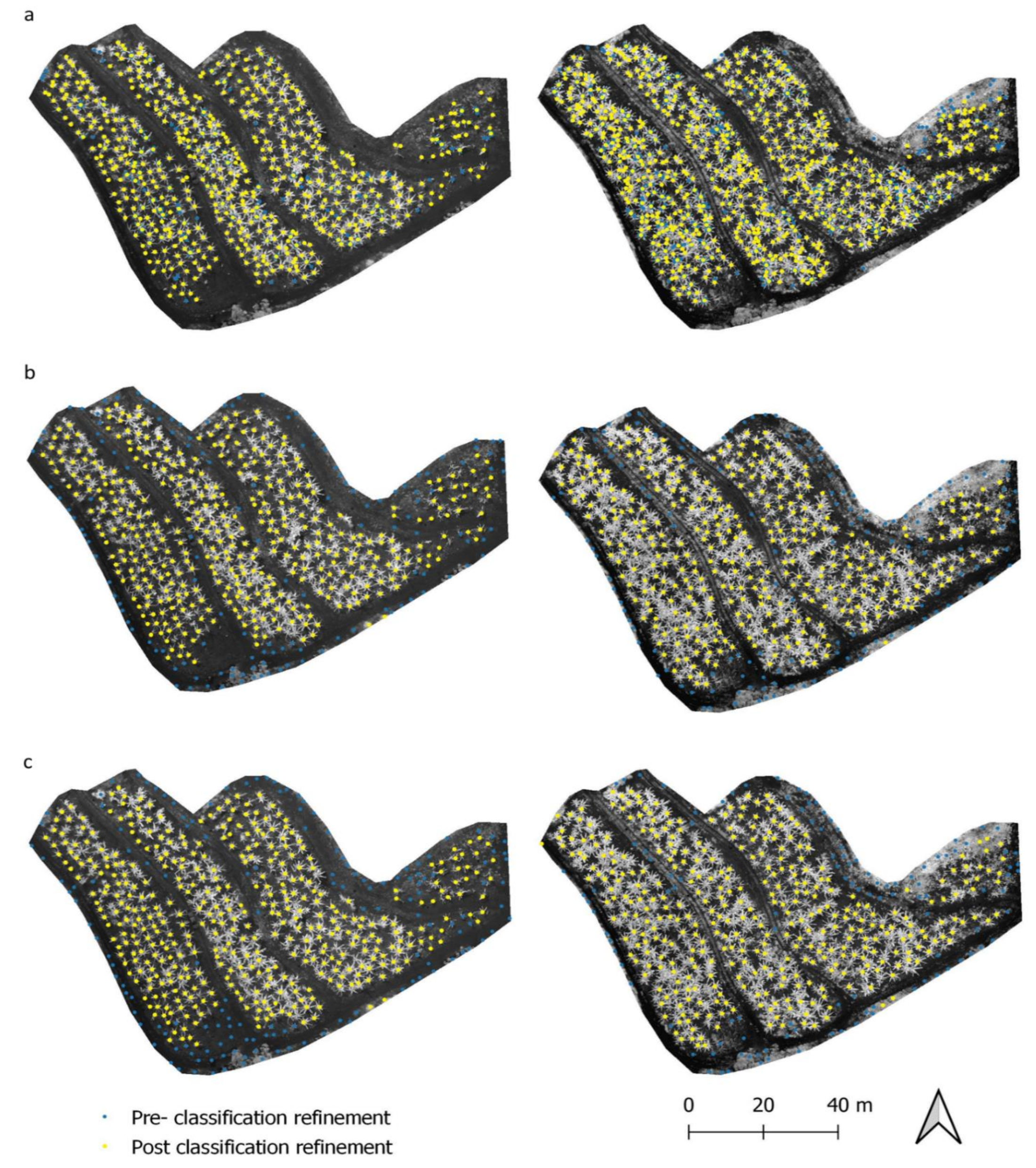 Remotesensing 13 02123 g008