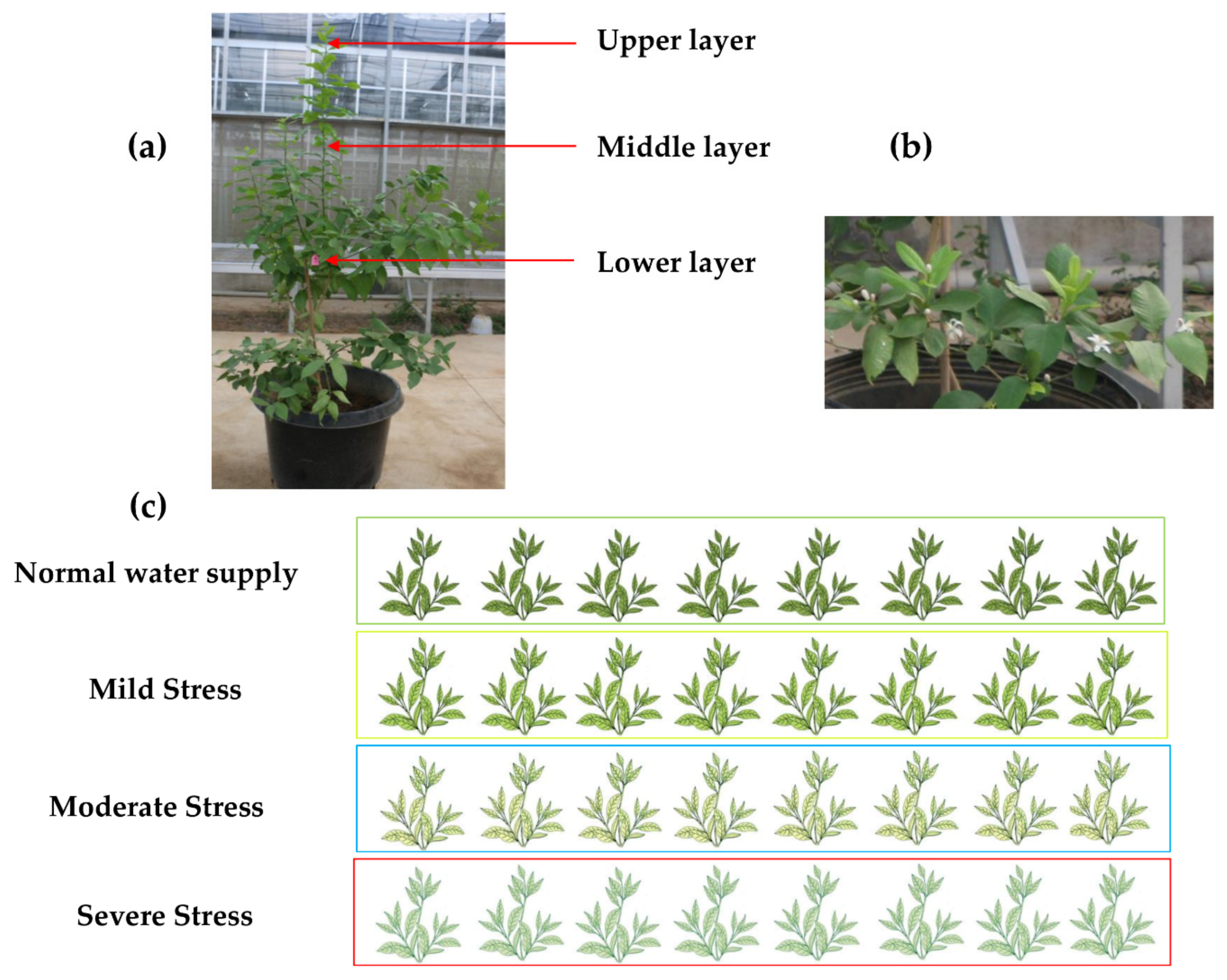 Remotesensing 13 02160 g001