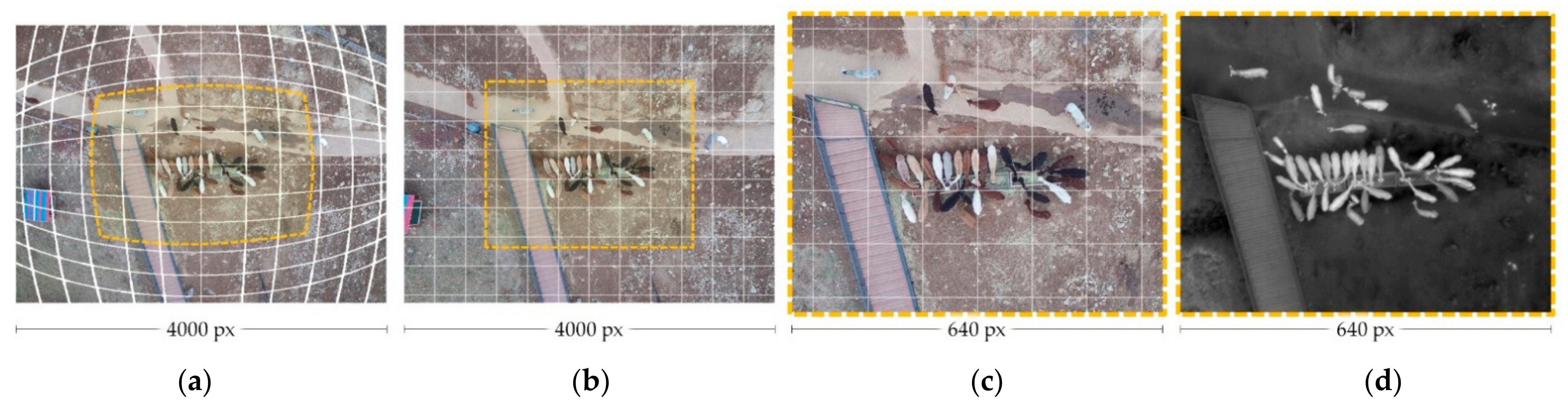 Remotesensing 13 02169 g004