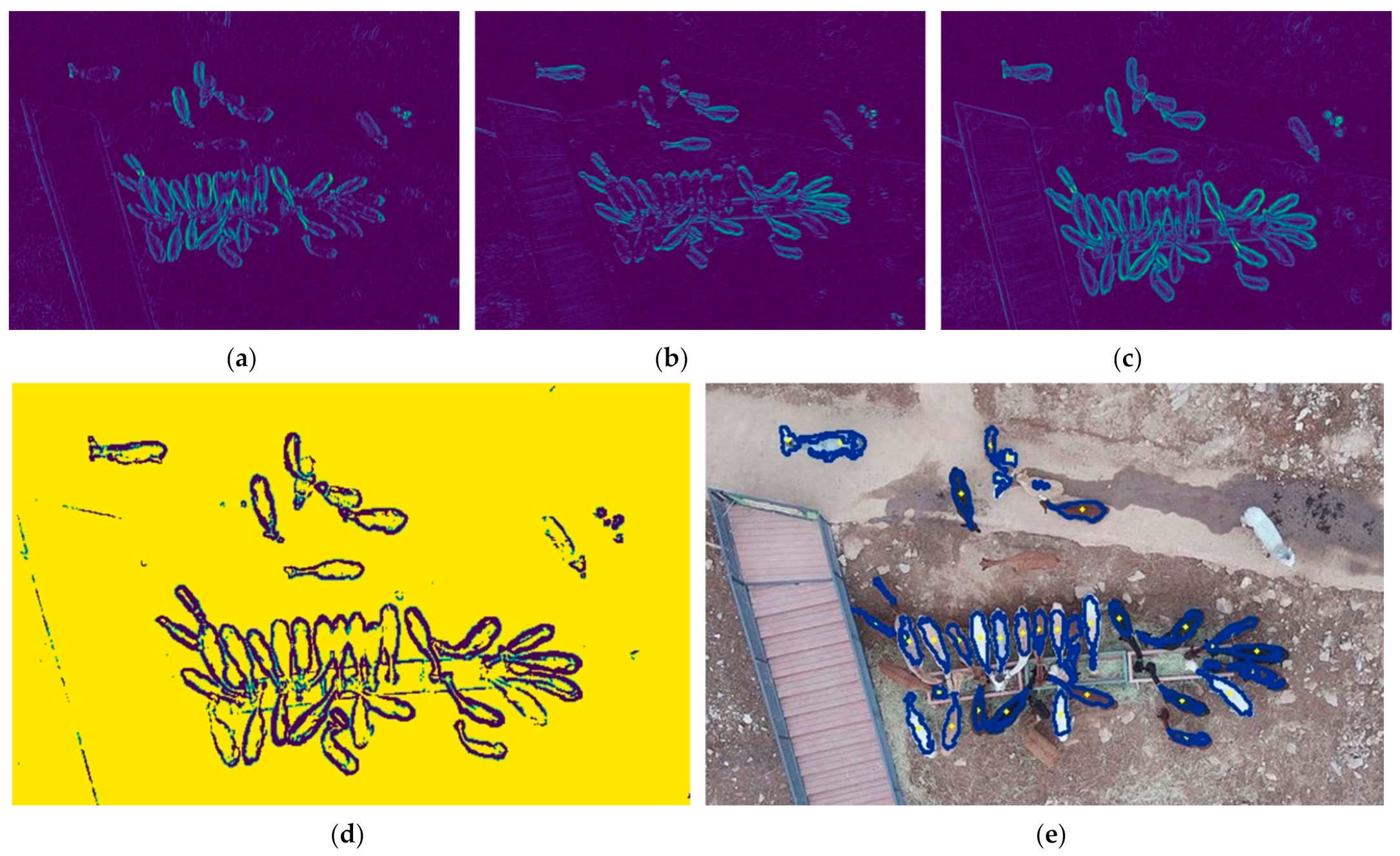 Remotesensing 13 02169 g007
