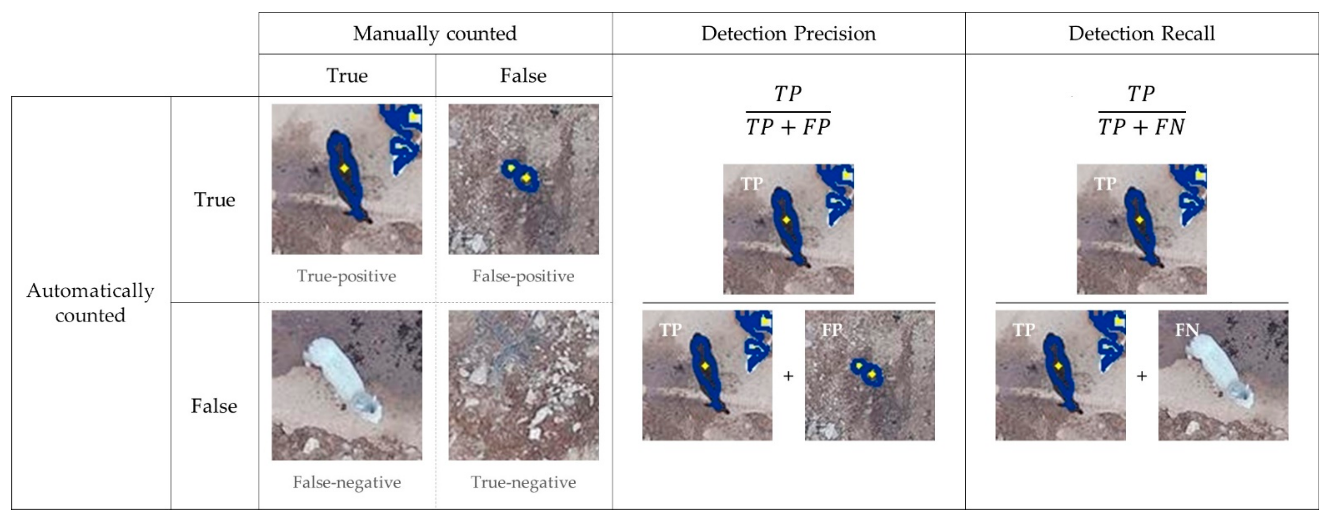 Remotesensing 13 02169 g010
