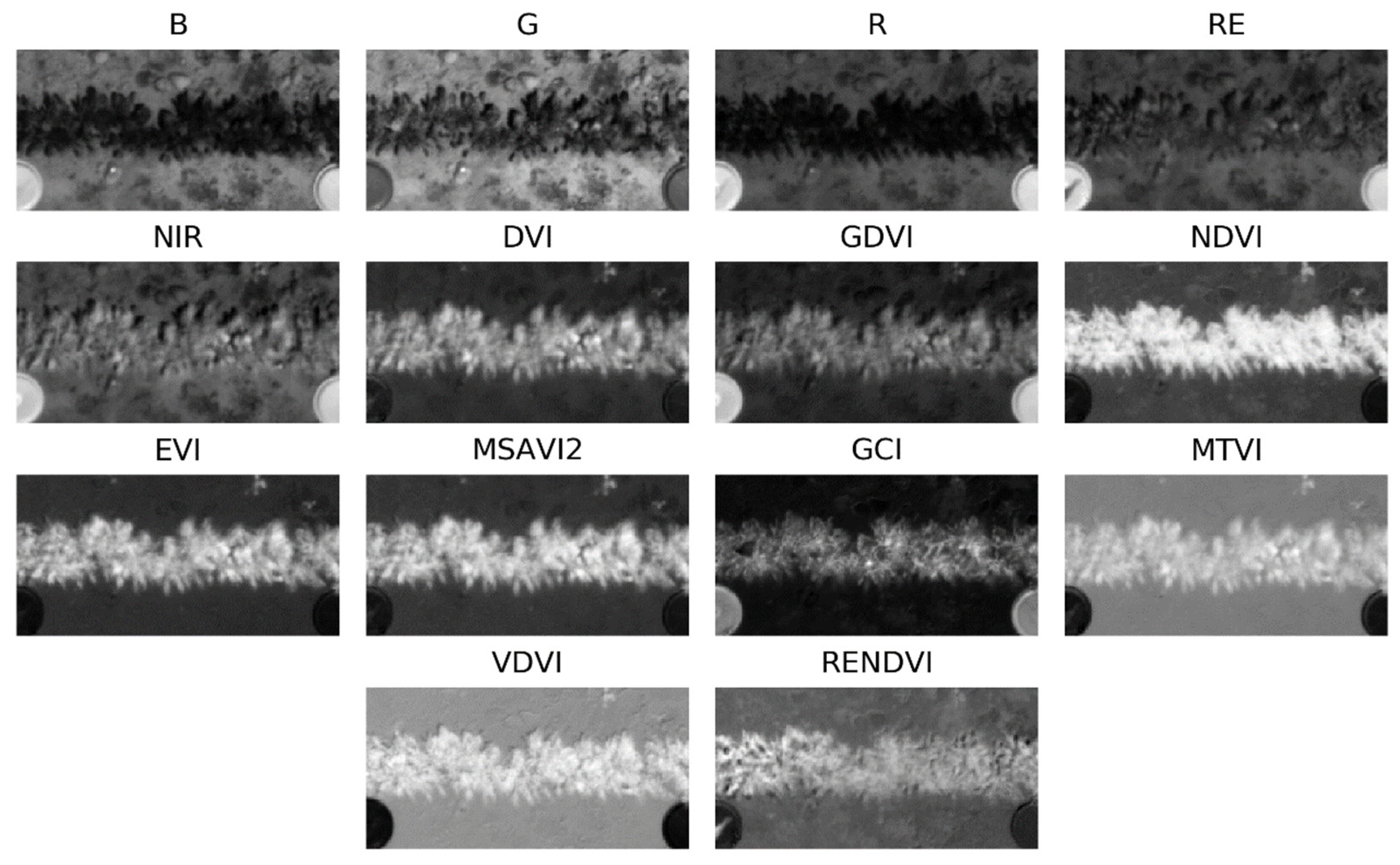 Remotesensing 13 02180 g005