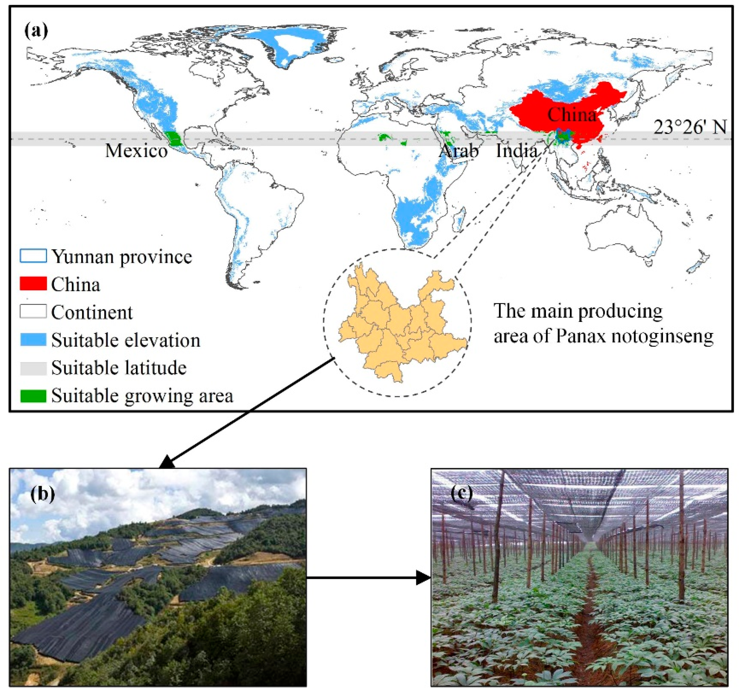 Remotesensing 13 02184 g001