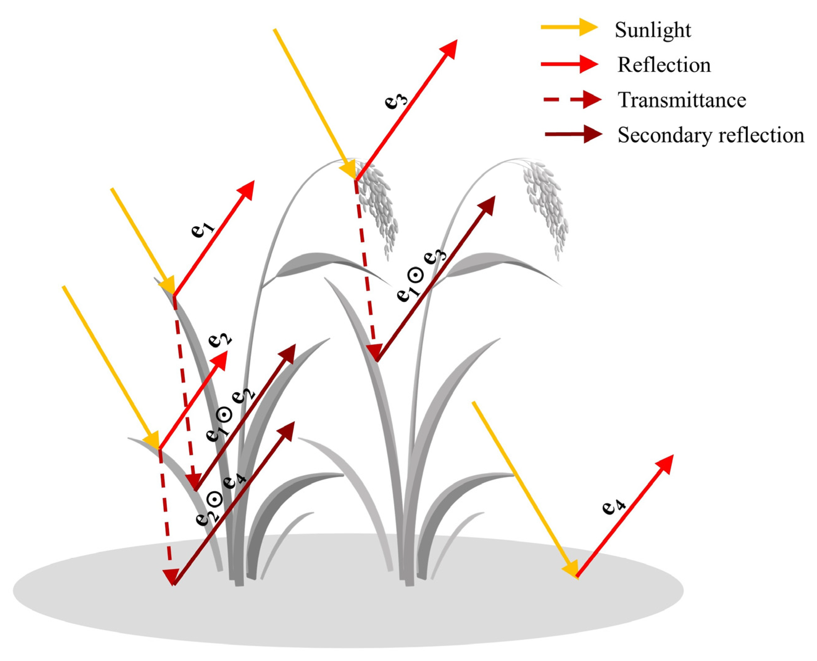 Remotesensing 13 02190 g004