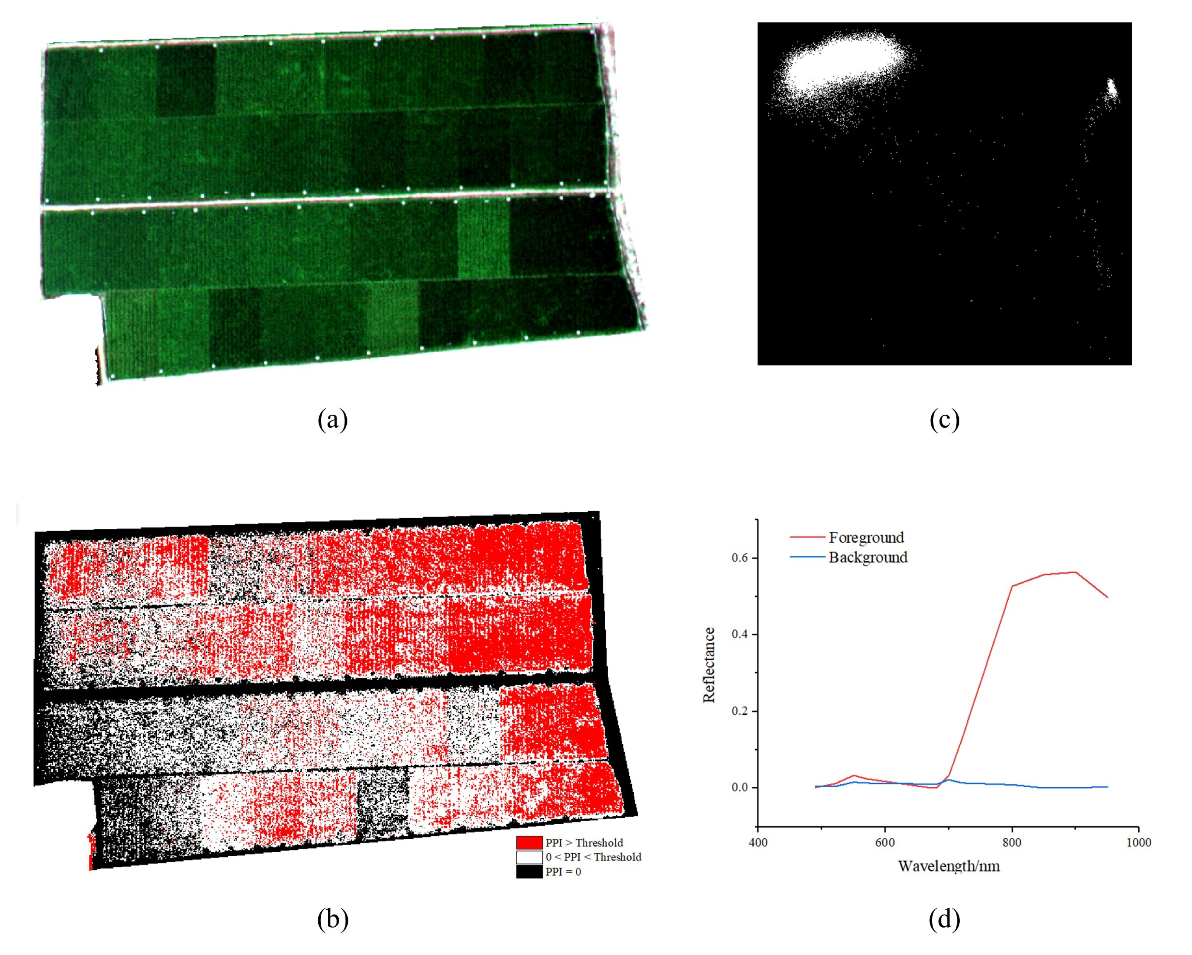 Remotesensing 13 02190 g005