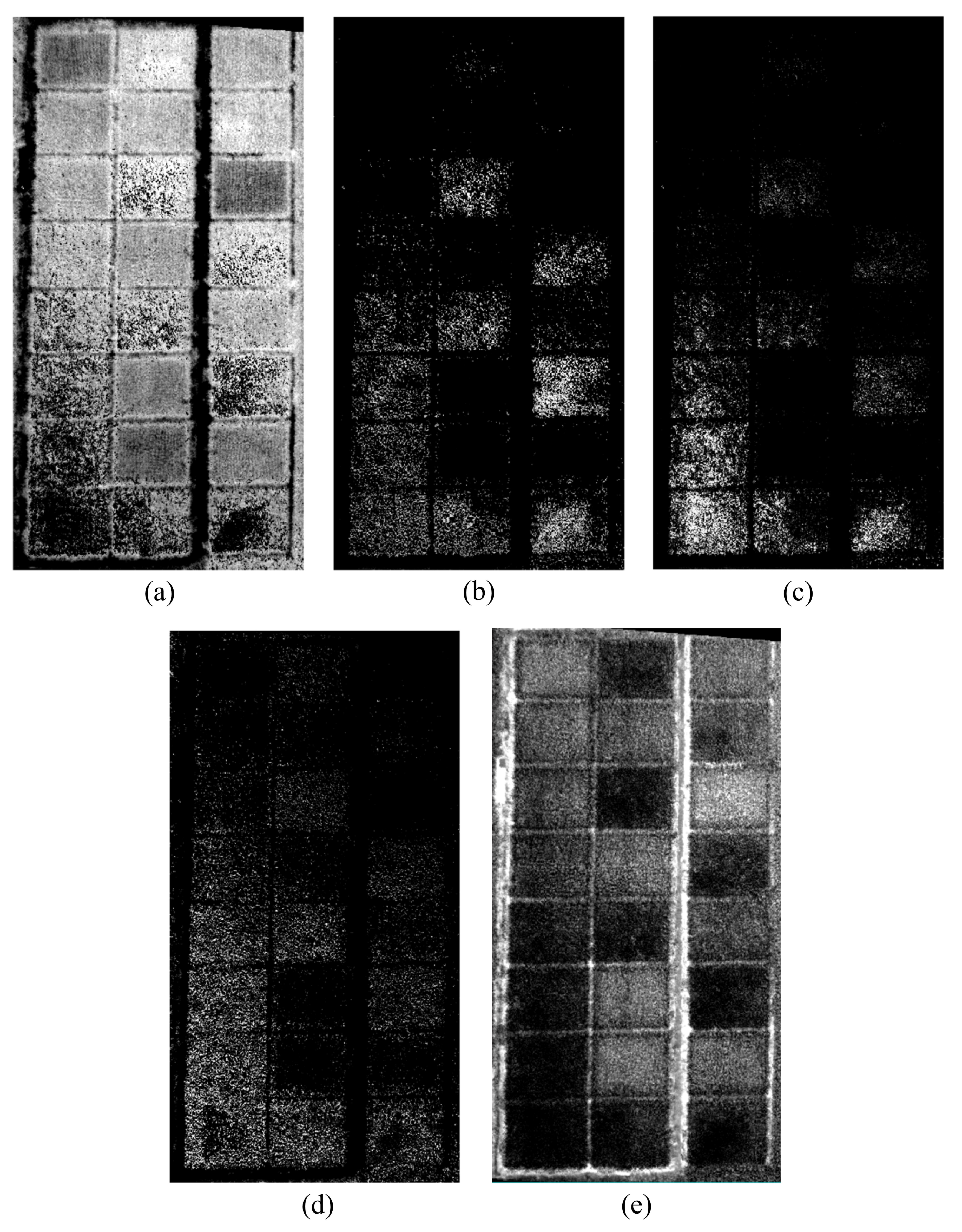 Remotesensing 13 02190 g010