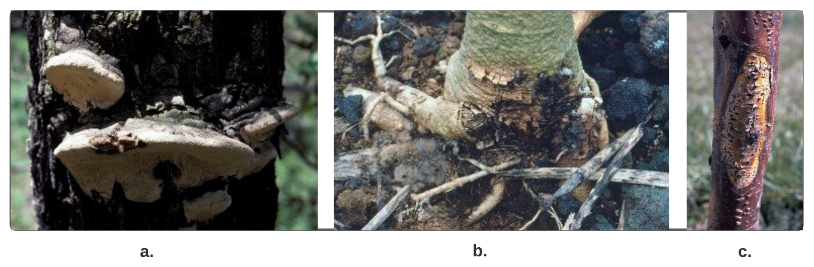 Remotesensing 13 02194 g015