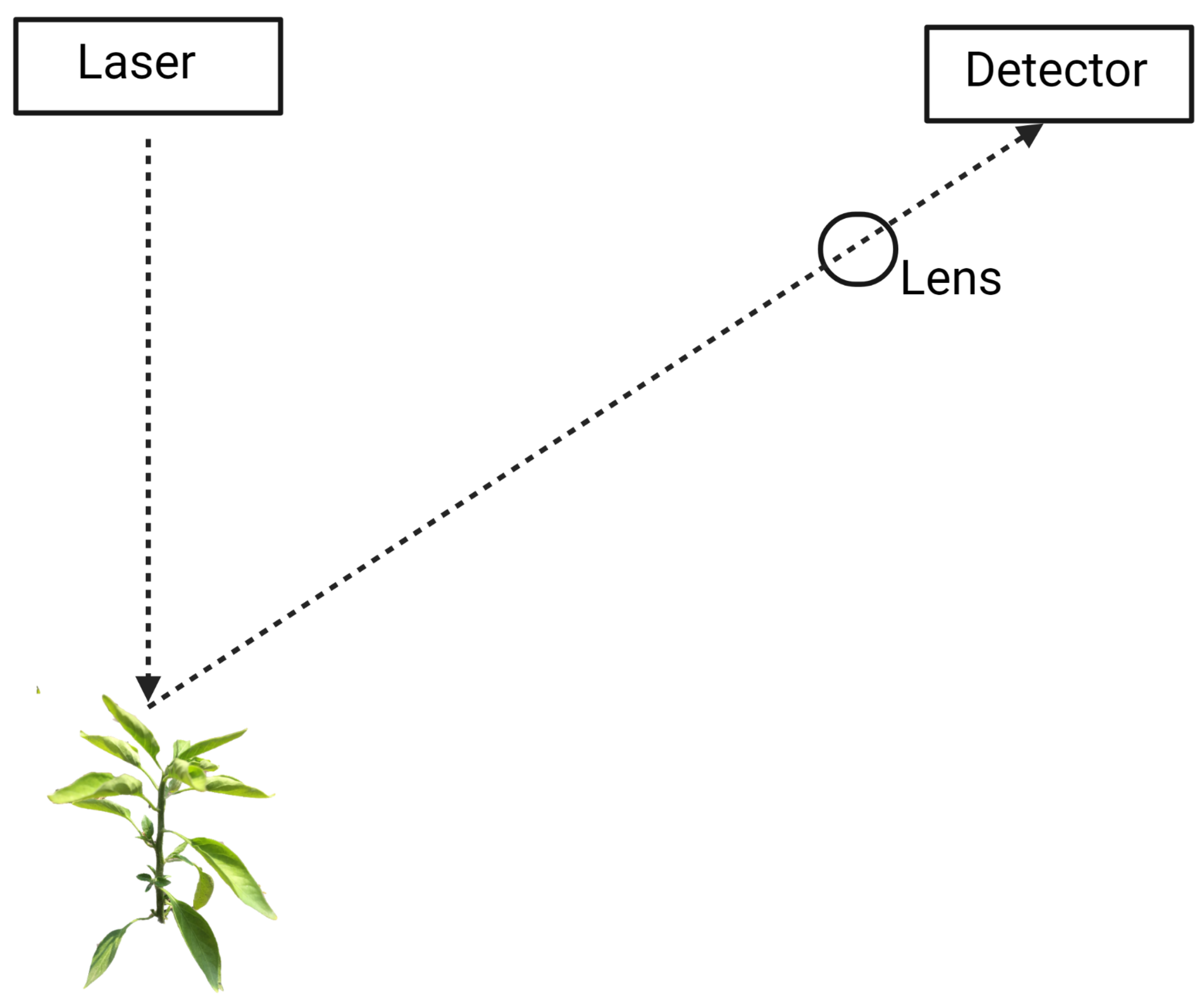 Remotesensing 13 02232 g003