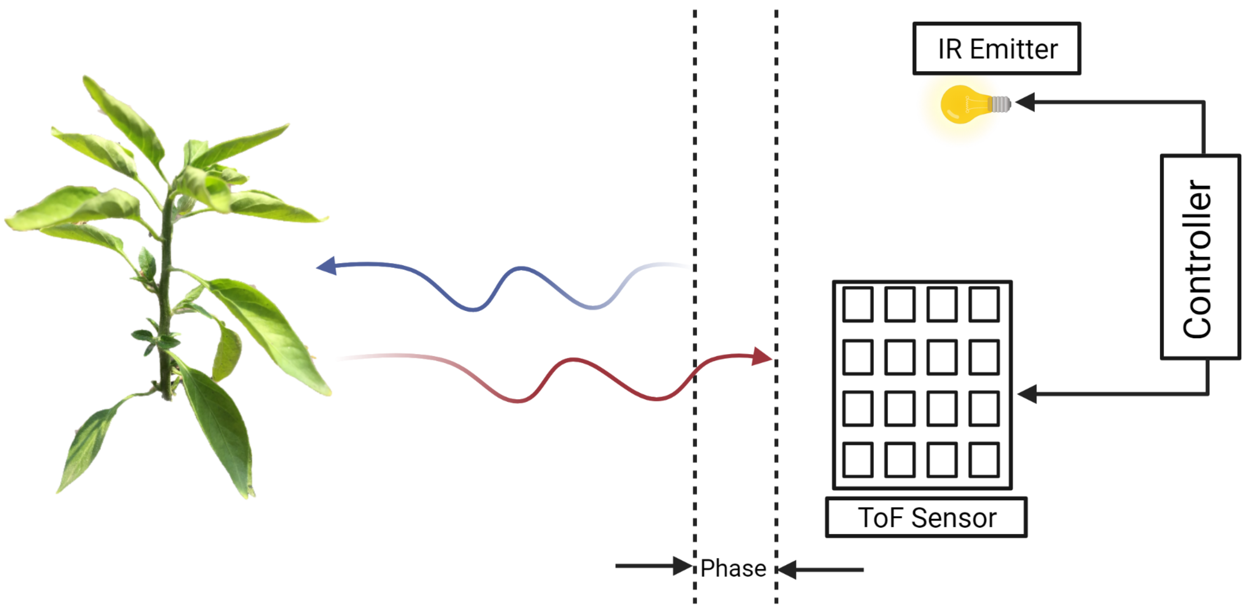 Remotesensing 13 02232 g005