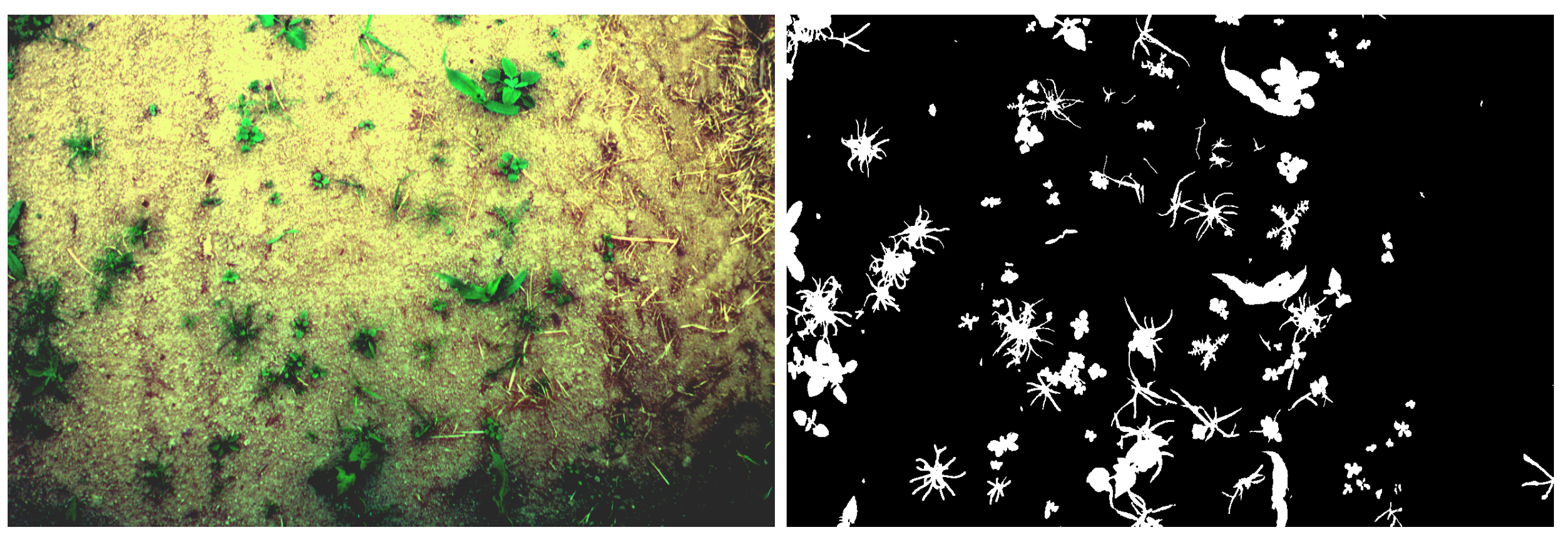 Remotesensing 13 02261 g002