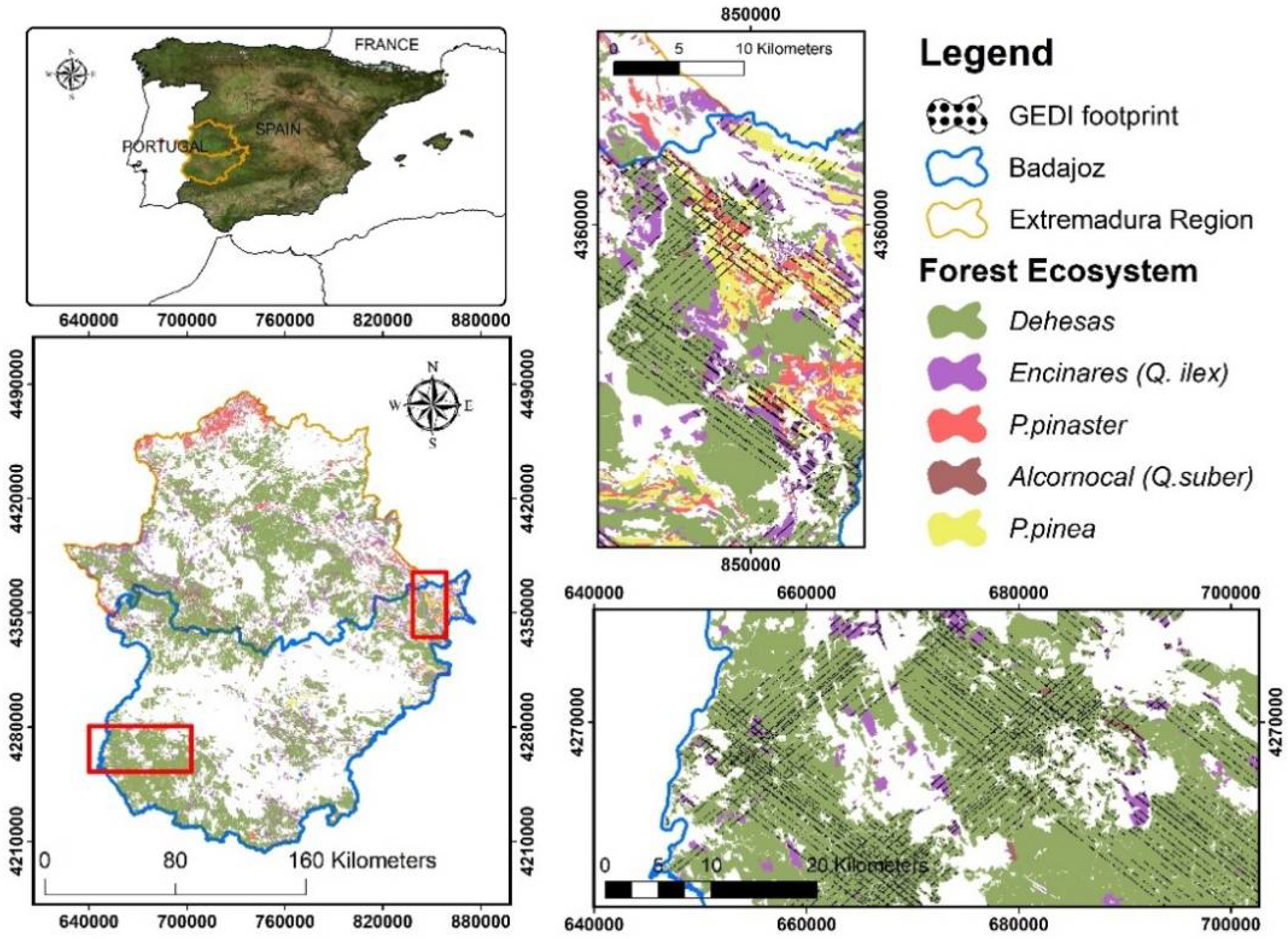 Remotesensing 13 02279 g001 Remotesensing 13 02279 g001