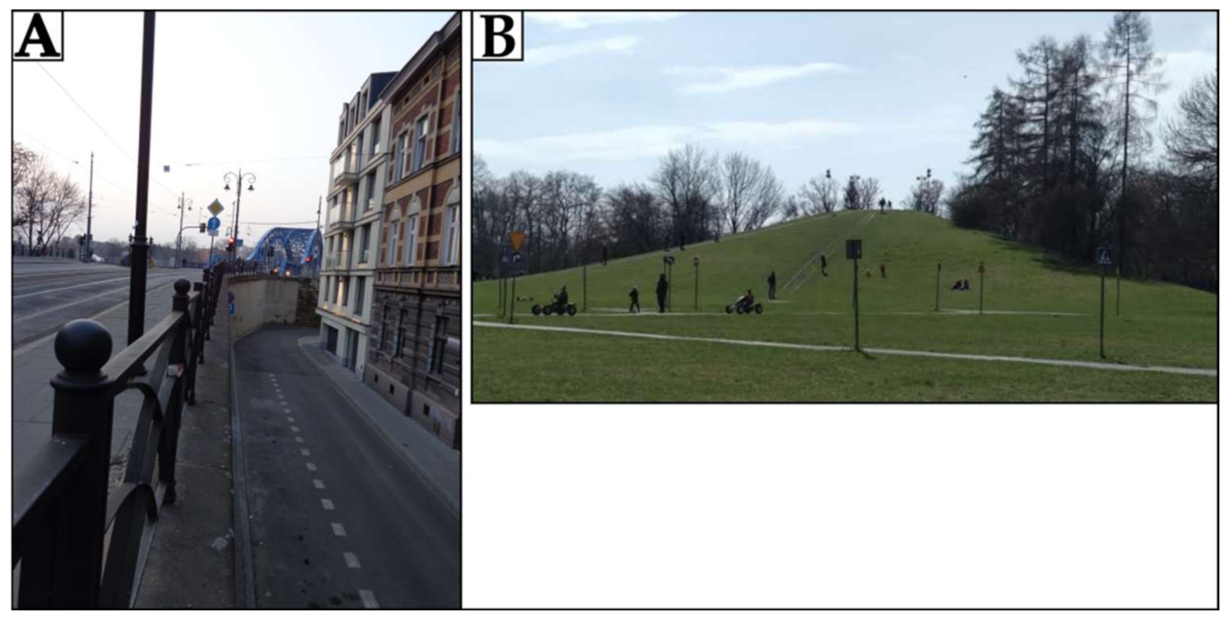 Remotesensing 13 02286 g010