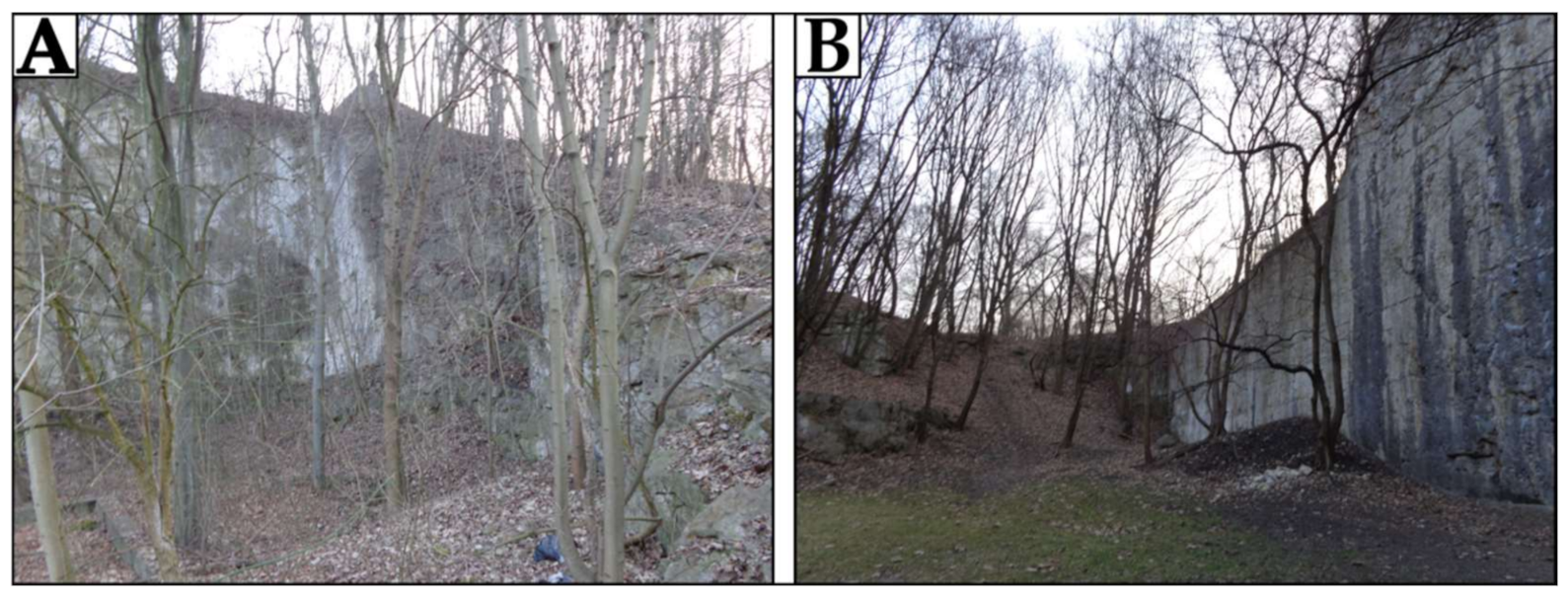 Remotesensing 13 02286 g013