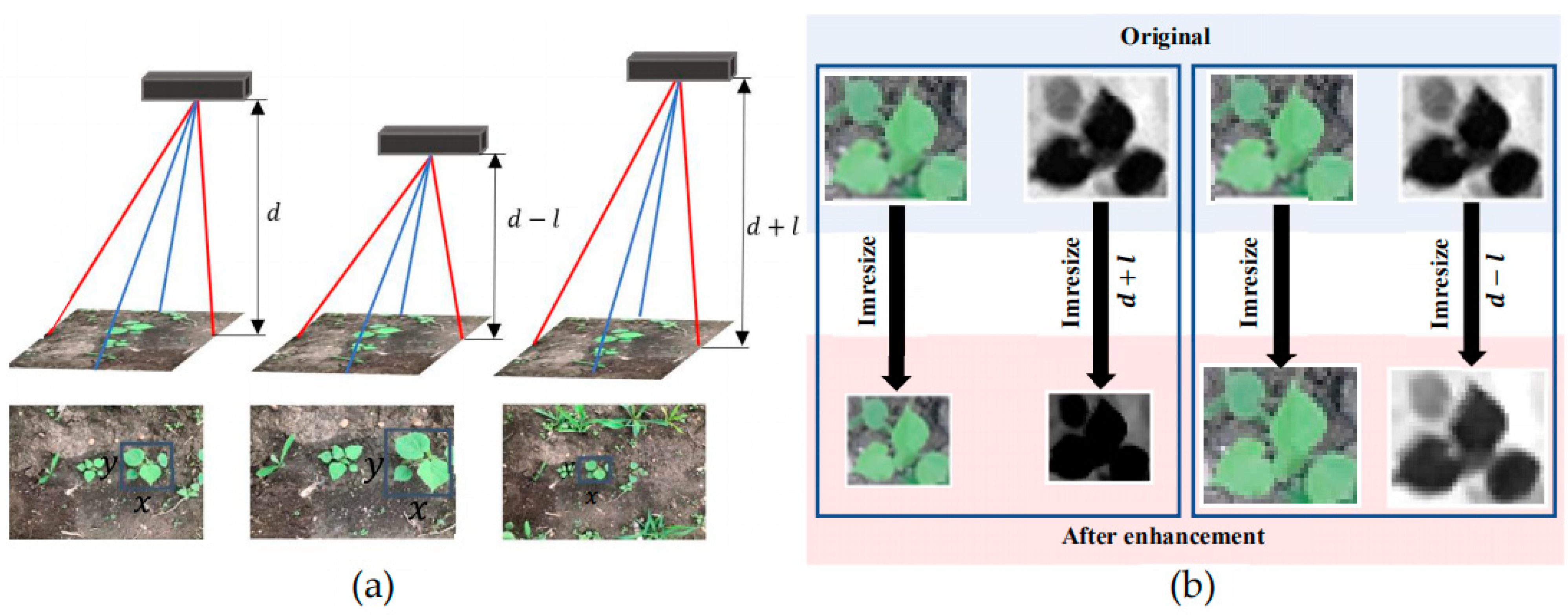 Remotesensing 13 02288 g009