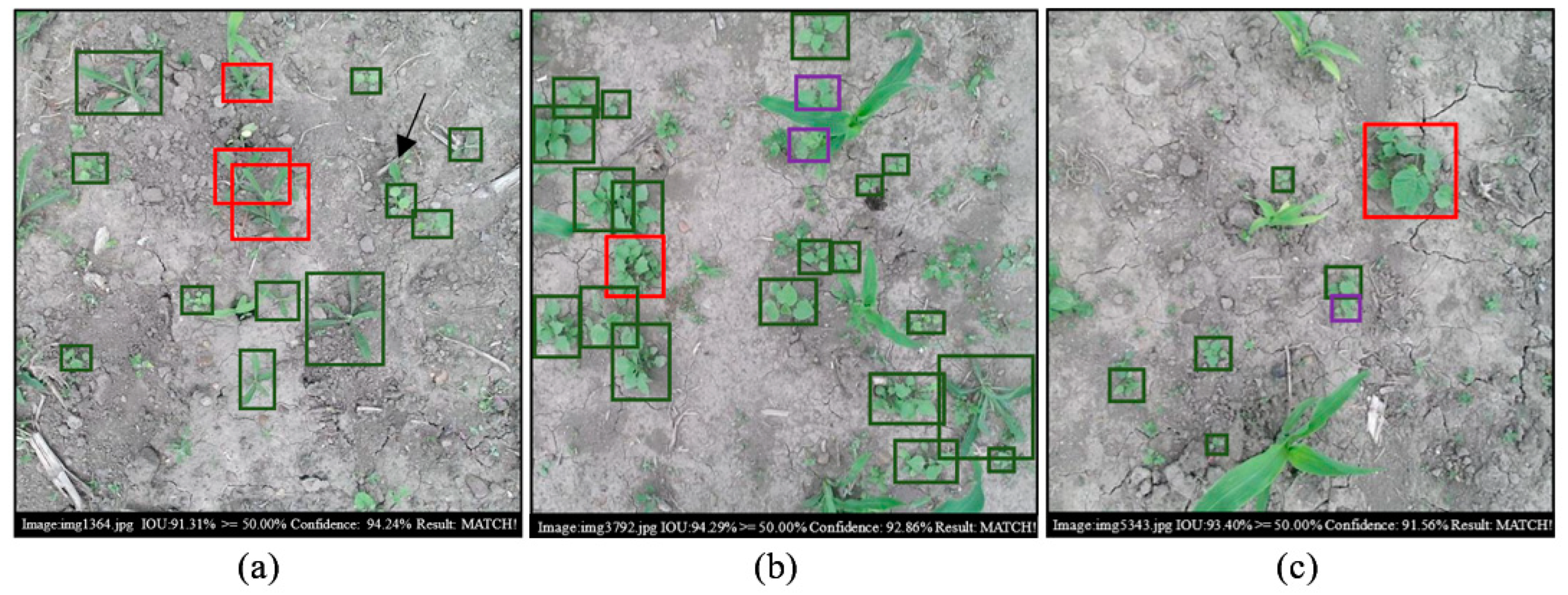 Remotesensing 13 02288 g015