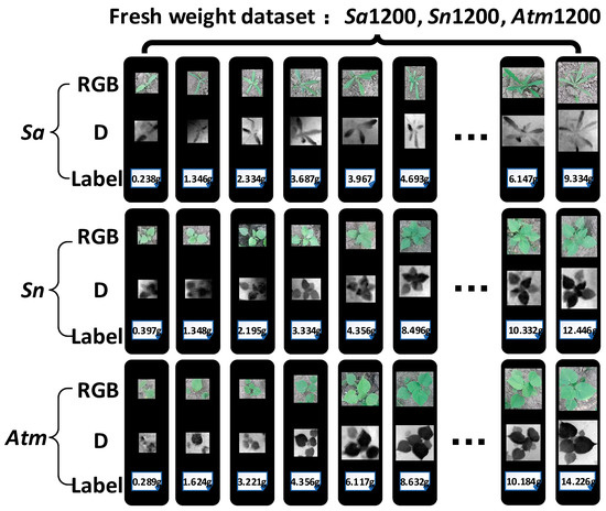 Remotesensing 13 02288 g0a1