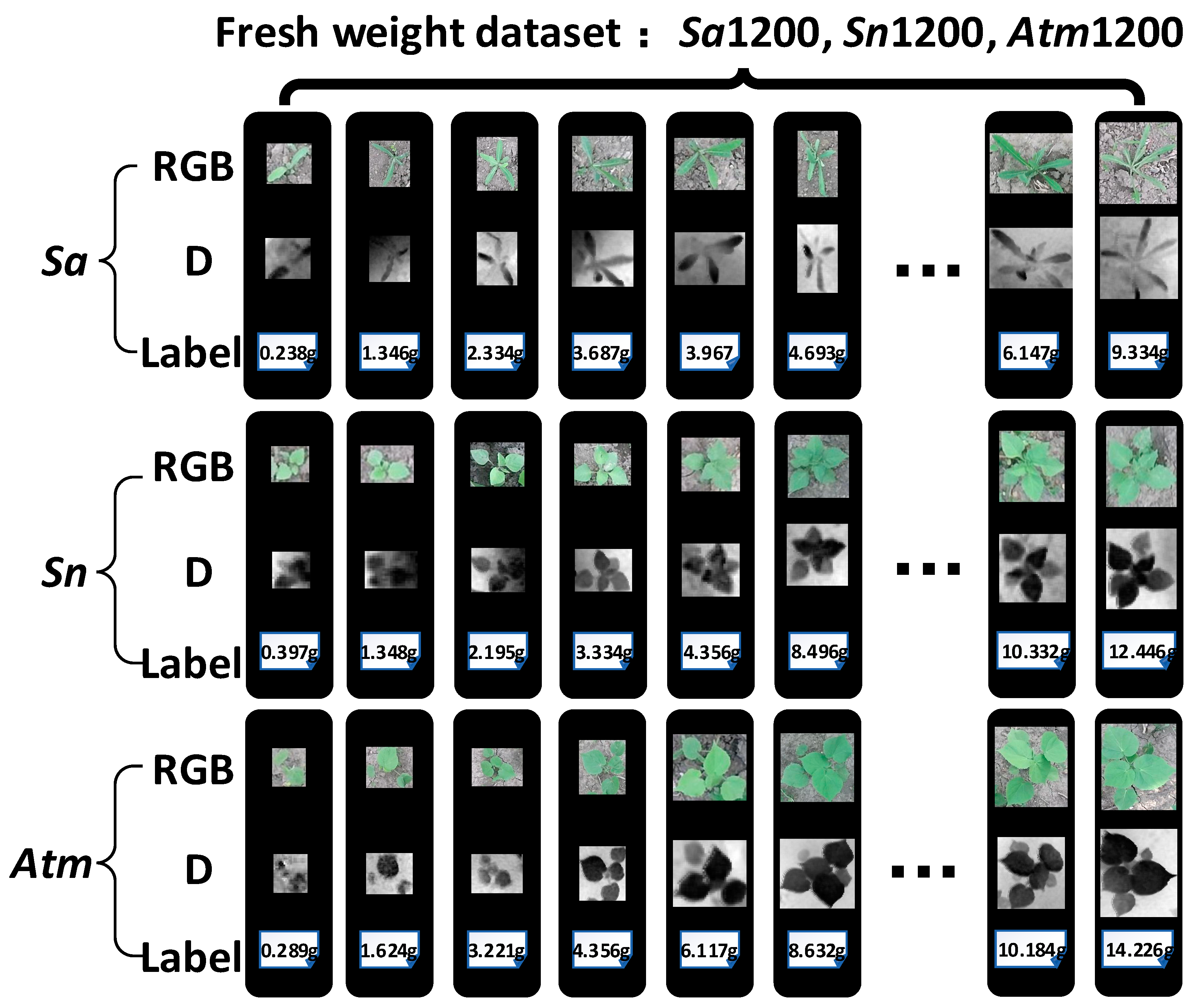 Remotesensing 13 02288 g0a1