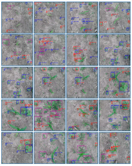 Remotesensing 13 02288 g0a3