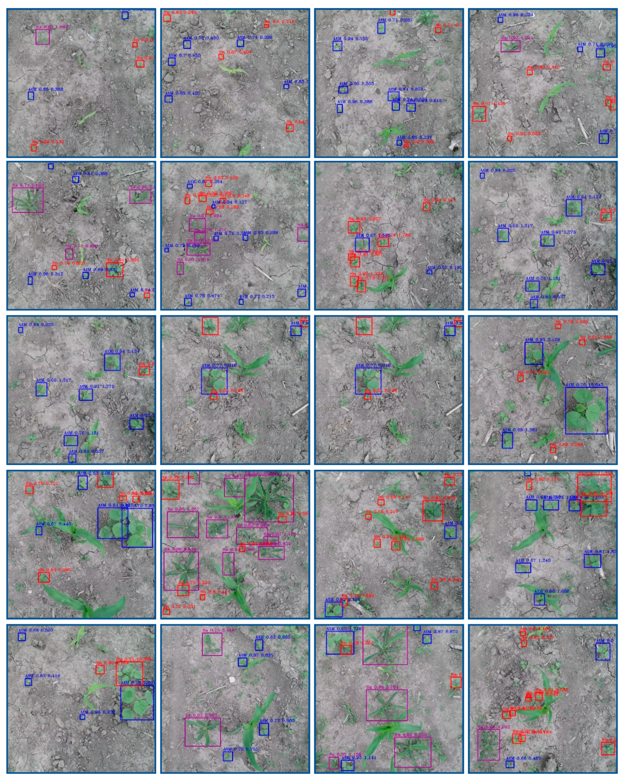 Remotesensing 13 02288 g0a3