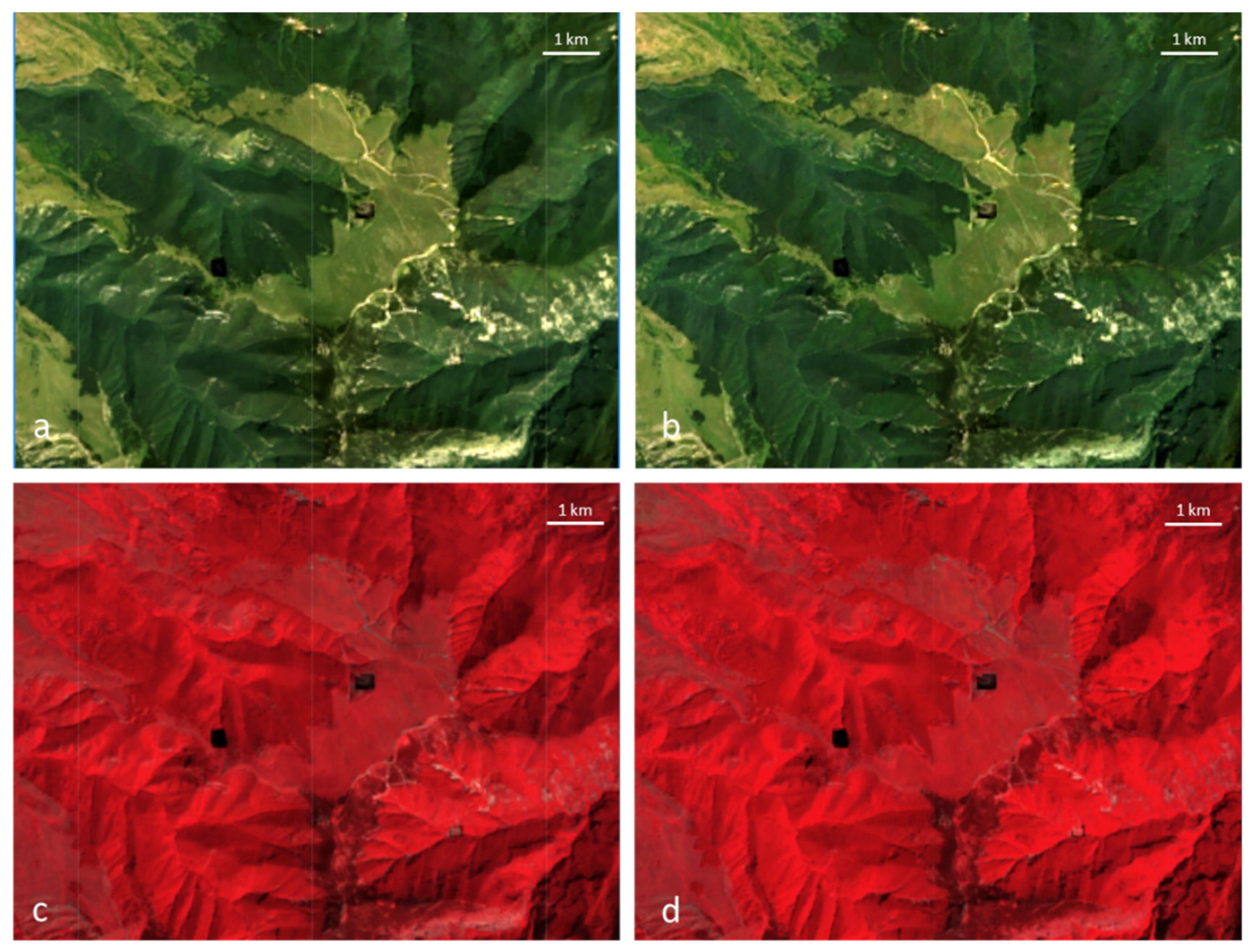 Remotesensing 13 02299 g003