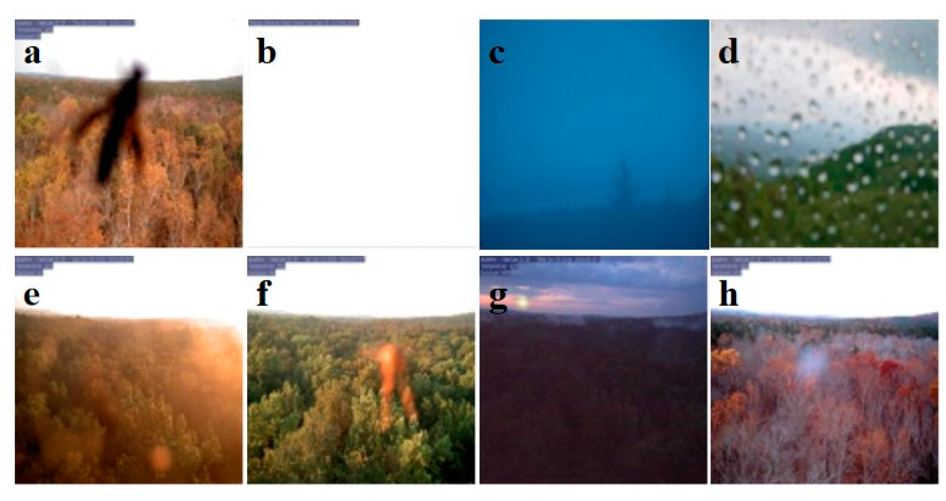 Remotesensing 13 02331 g0a1